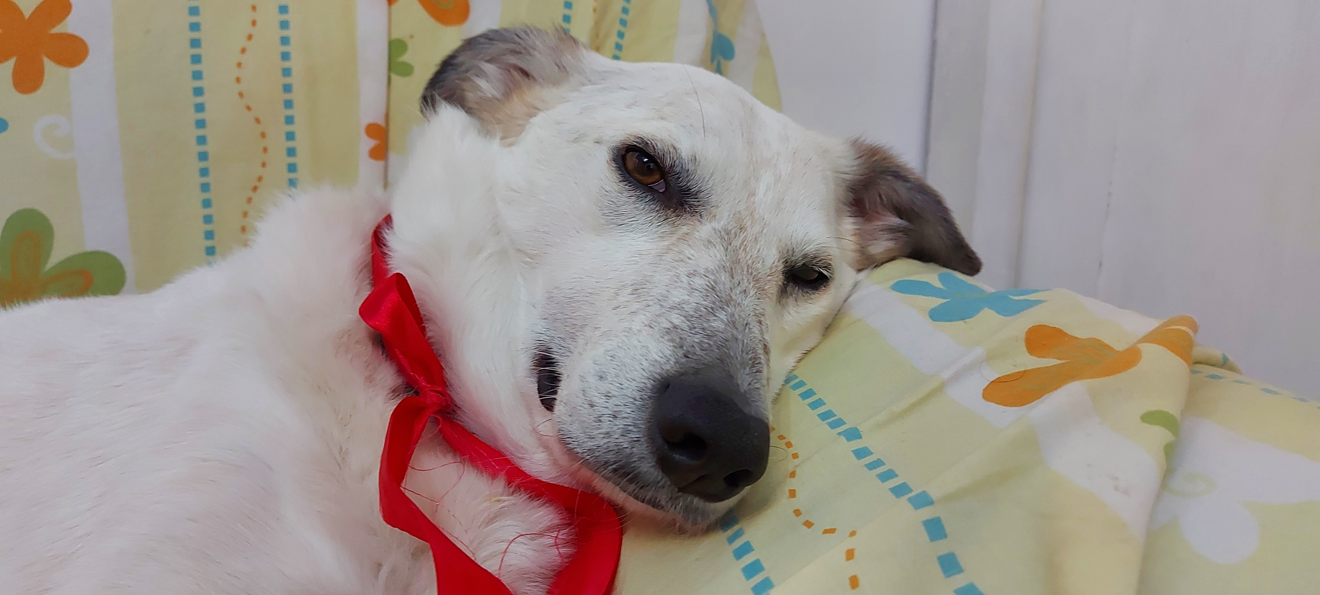 user avatar image for Andrea4th