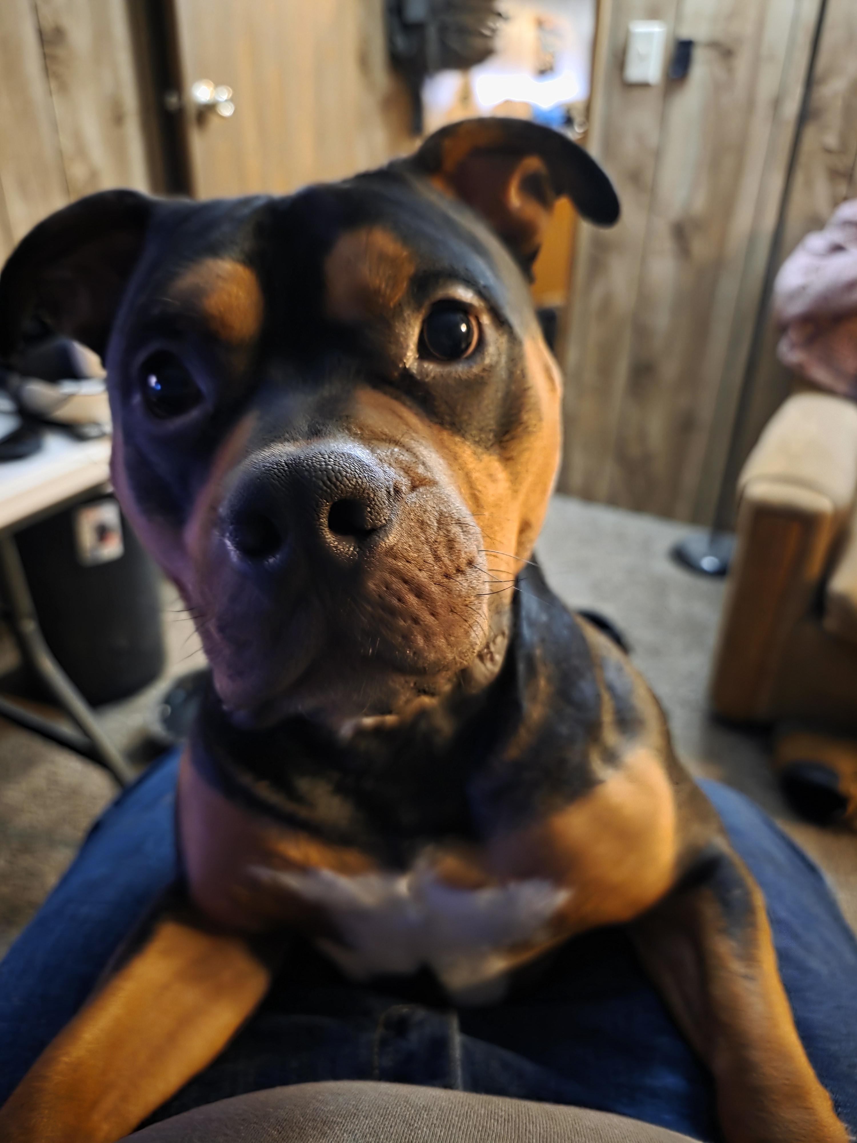 user avatar image for Joshua