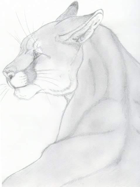 user avatar image for Demonica