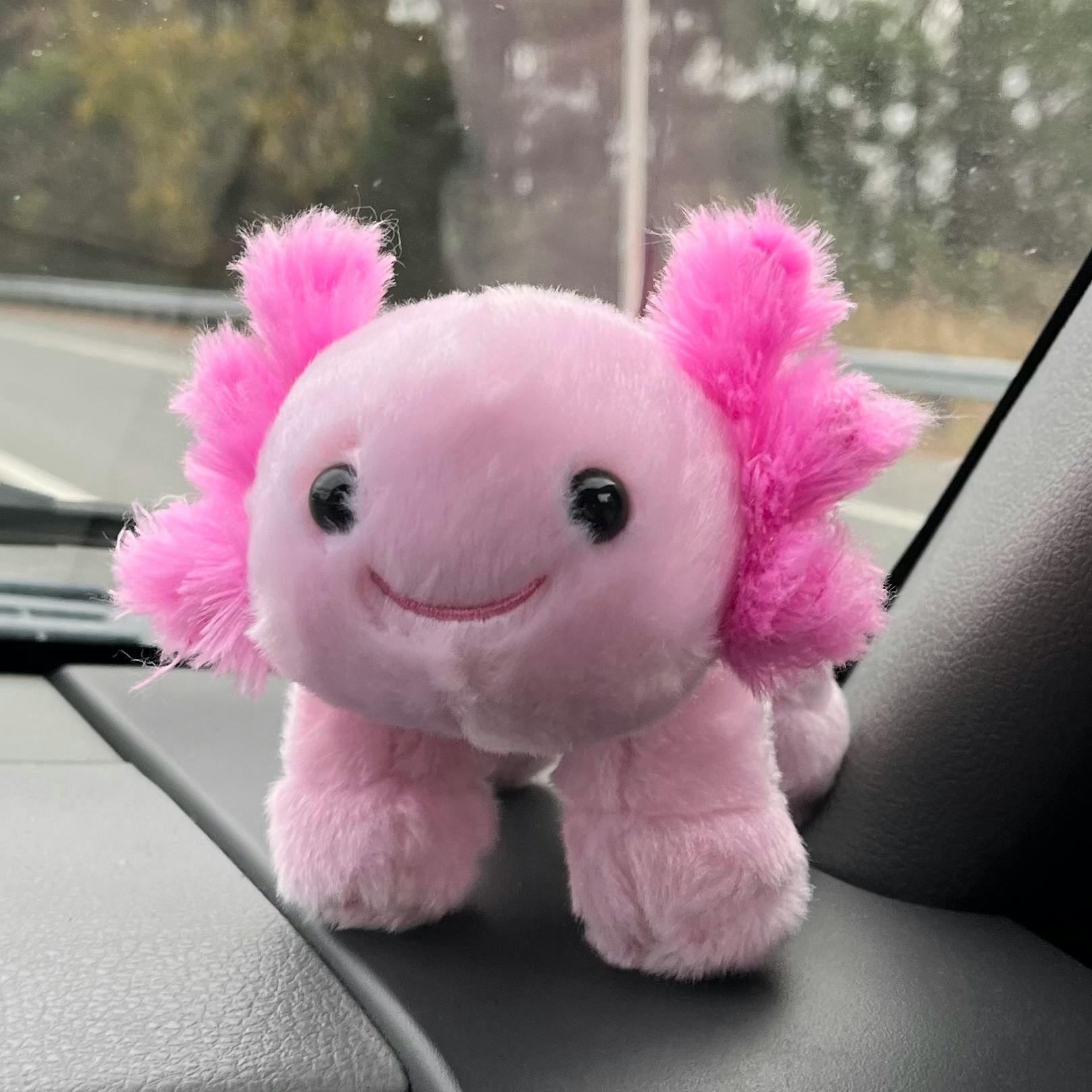 user avatar image for Sonia Bergeron