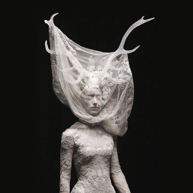 user avatar image for ironwing