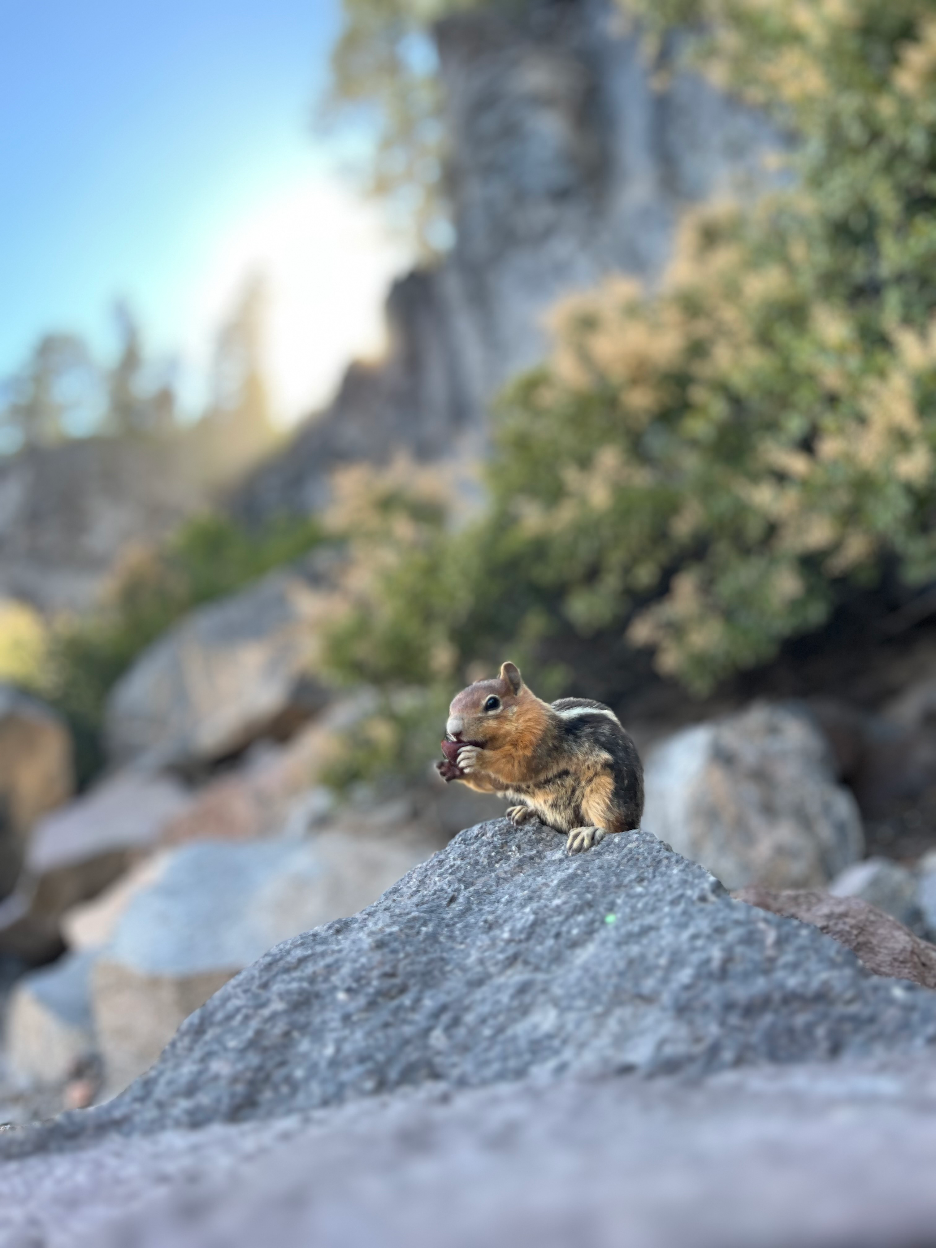 user avatar image for Ashley Chalermpued