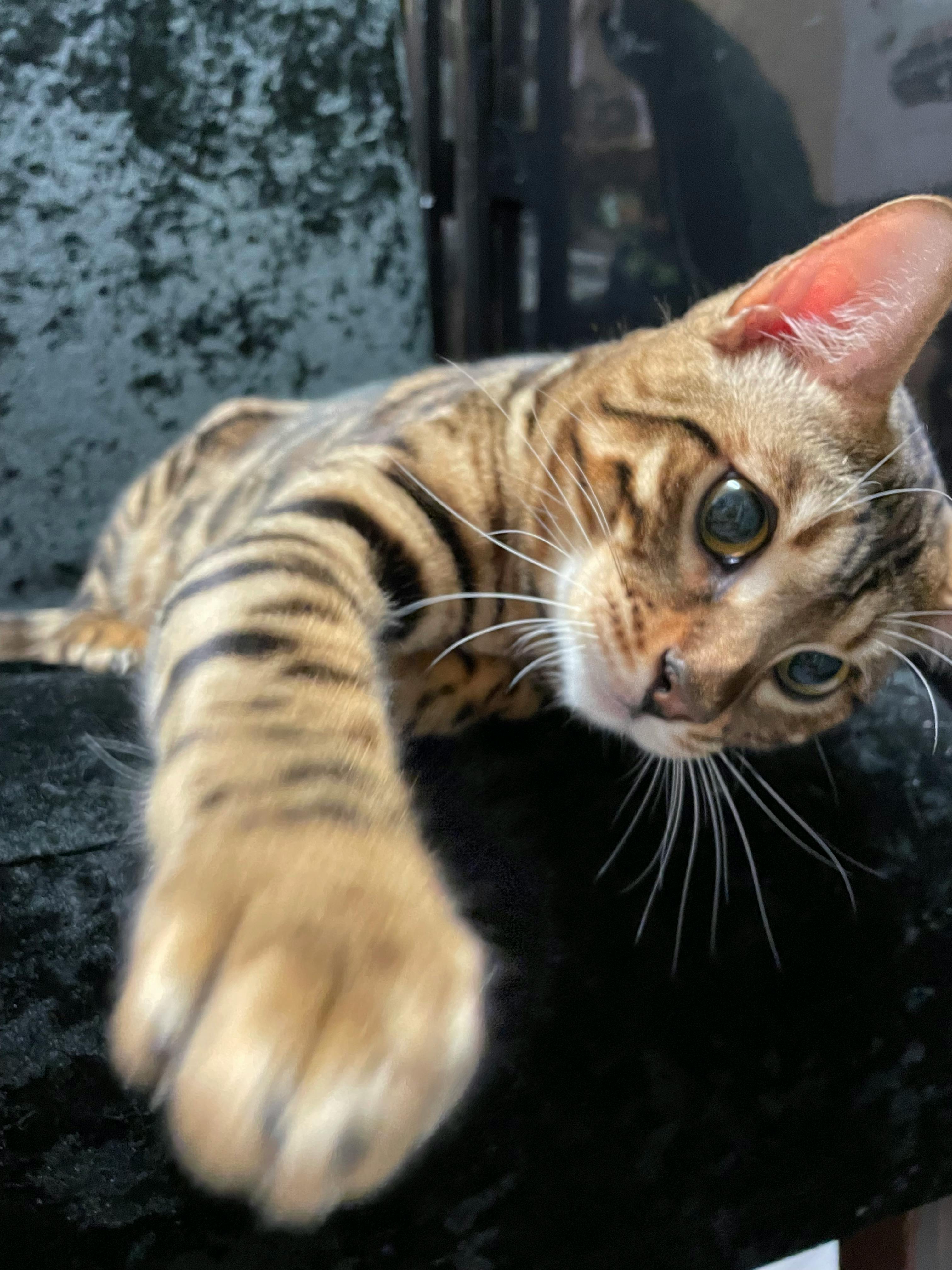 user avatar image for Natalie McDonagh 