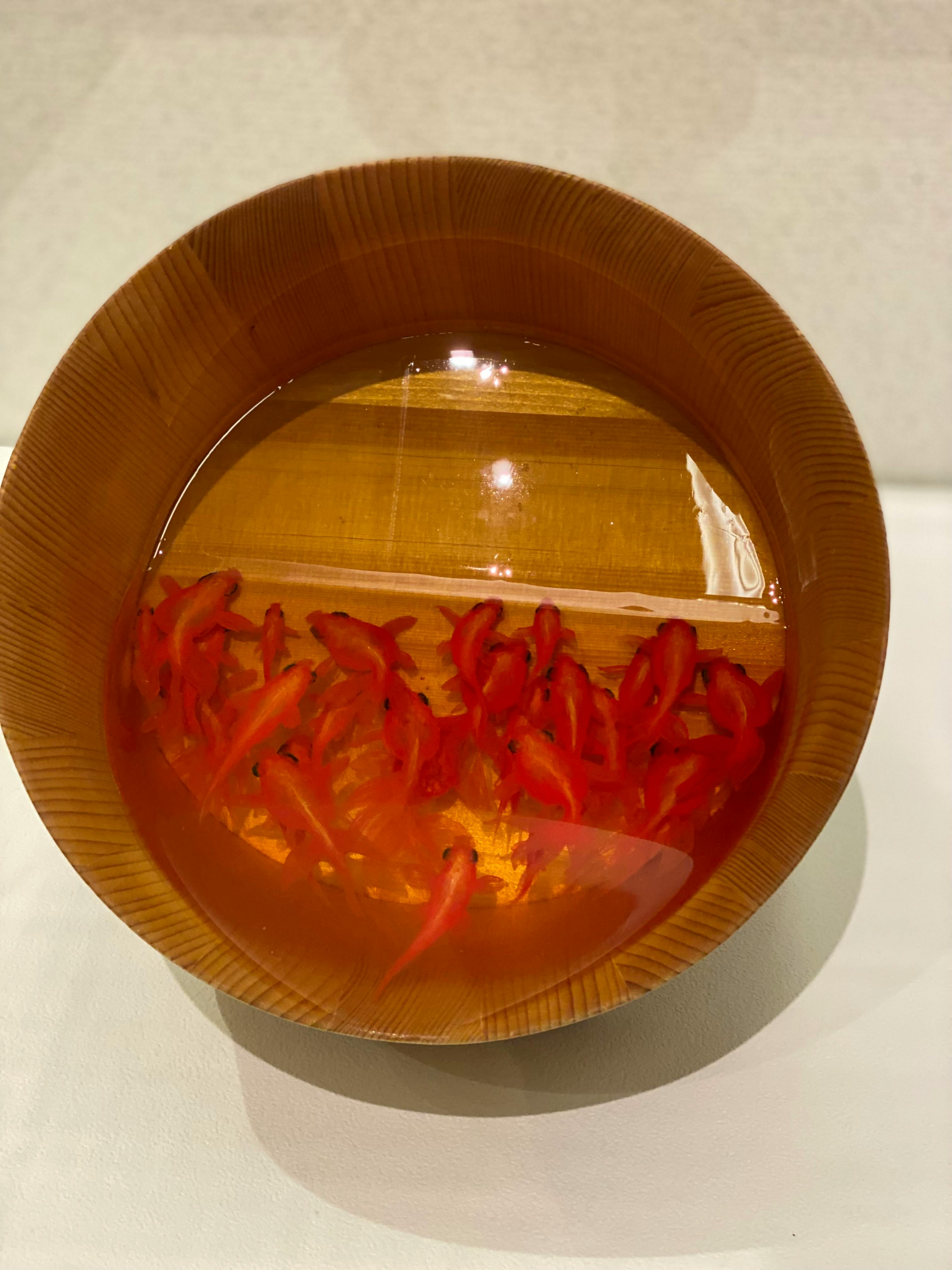 user avatar image for Jyashina