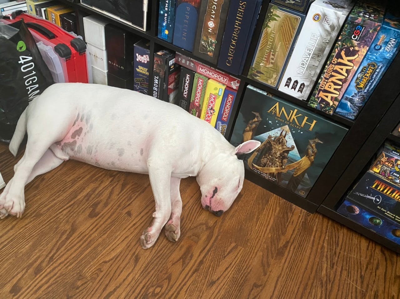 user avatar image for Alem Moto