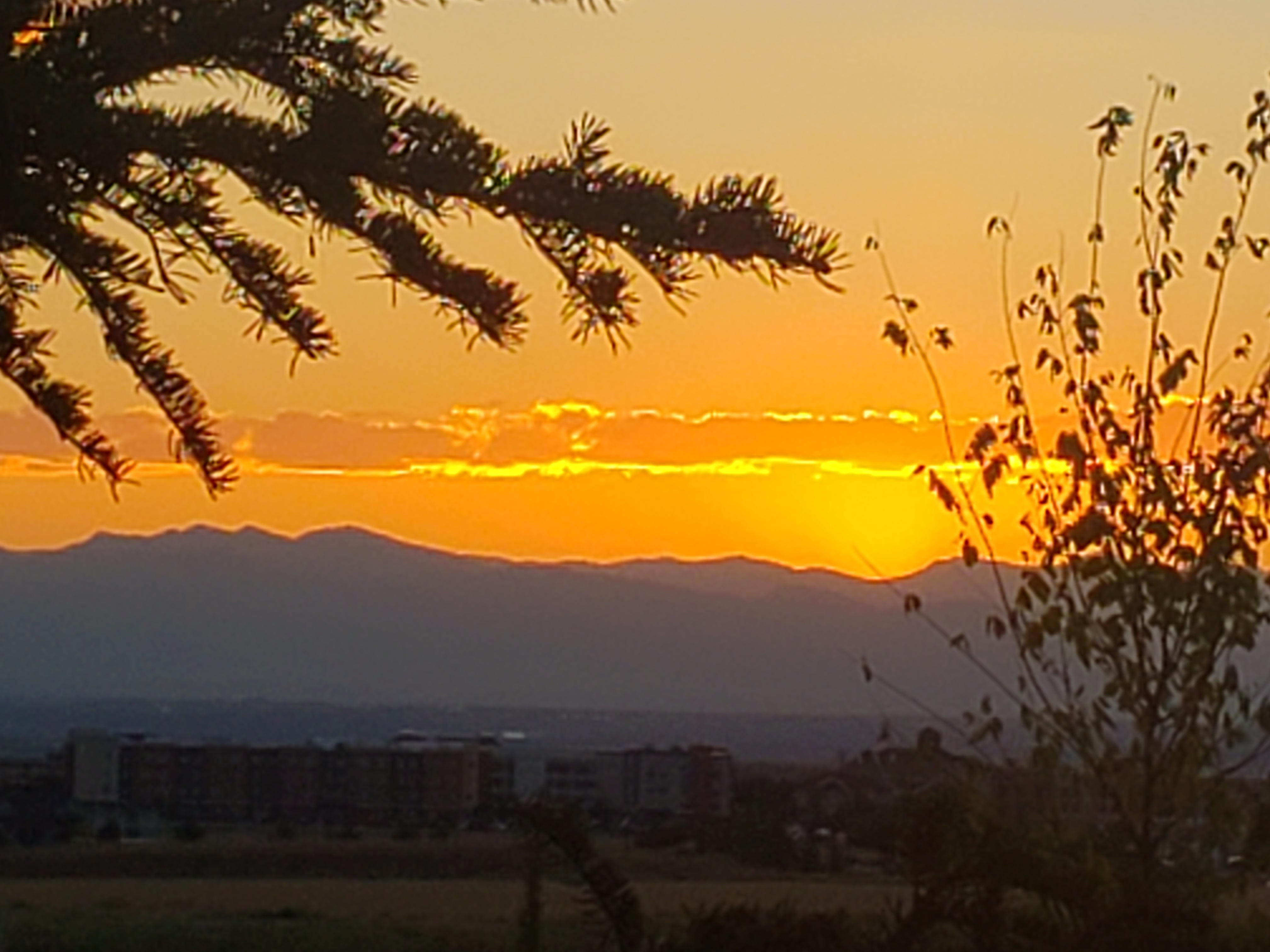 user avatar image for Ebonytempest33