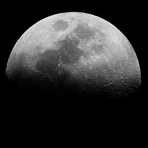 user avatar image for Joe Moon