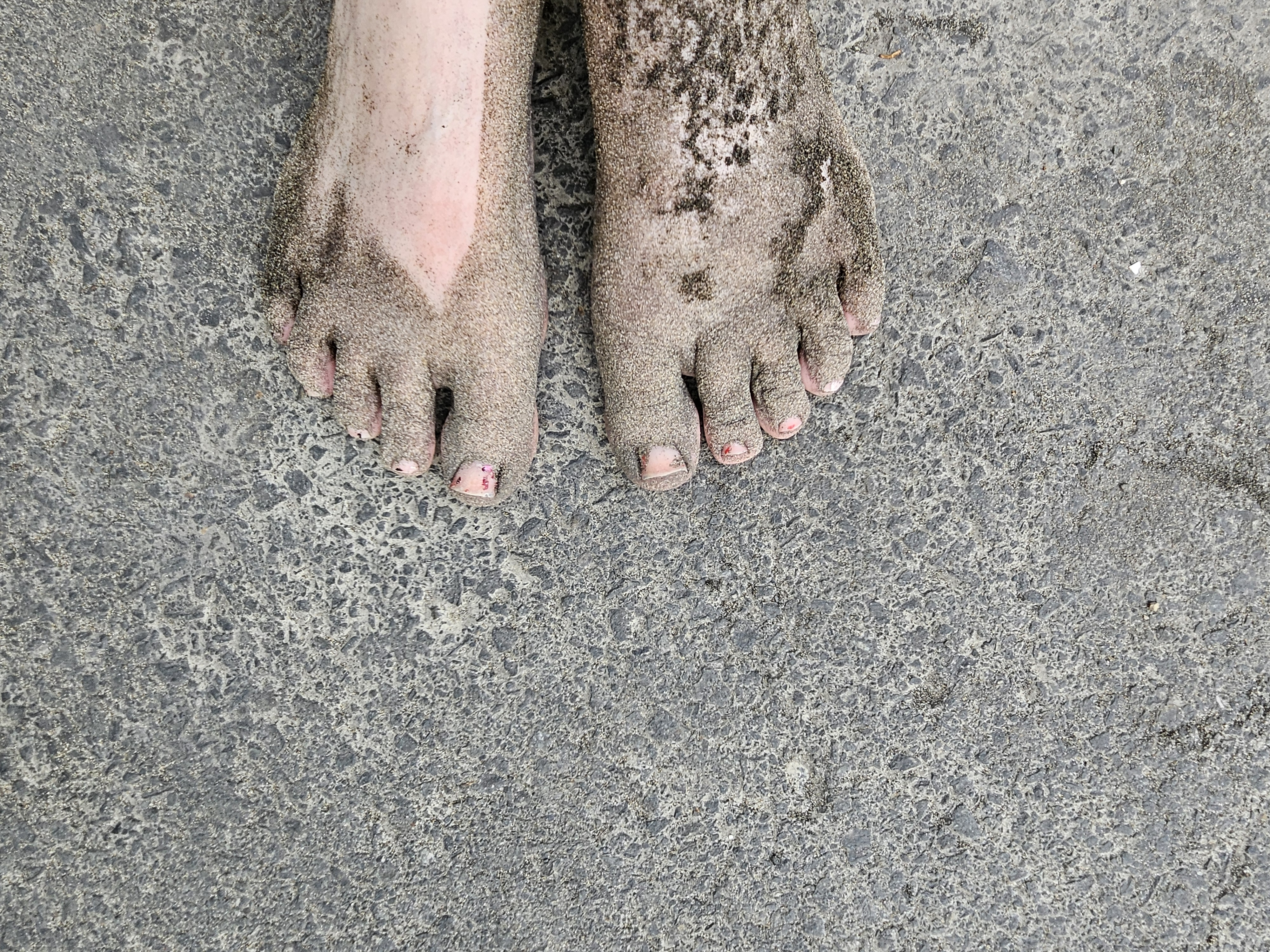 user avatar image for Amanda elliott