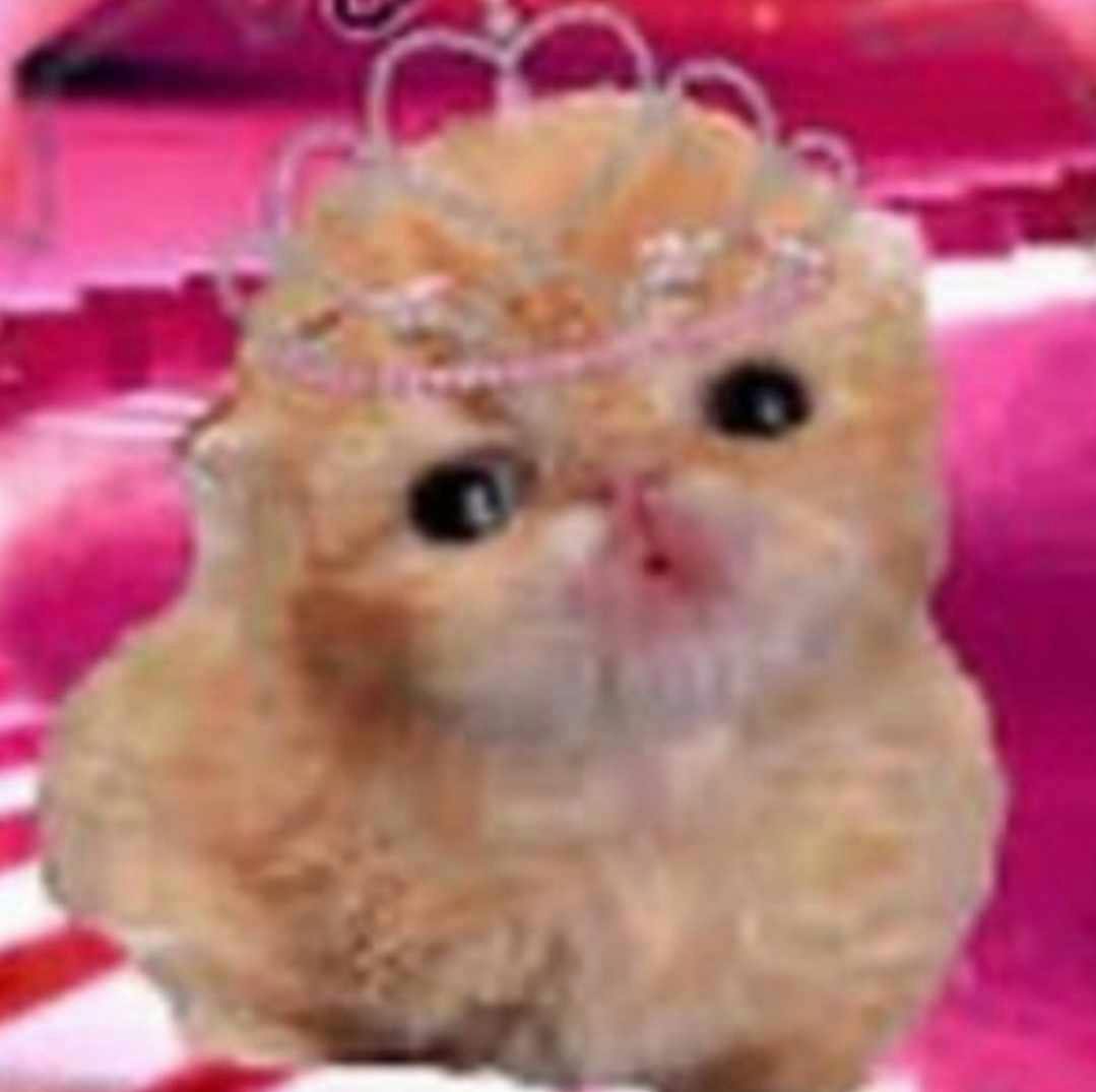 user avatar image for Lepsi