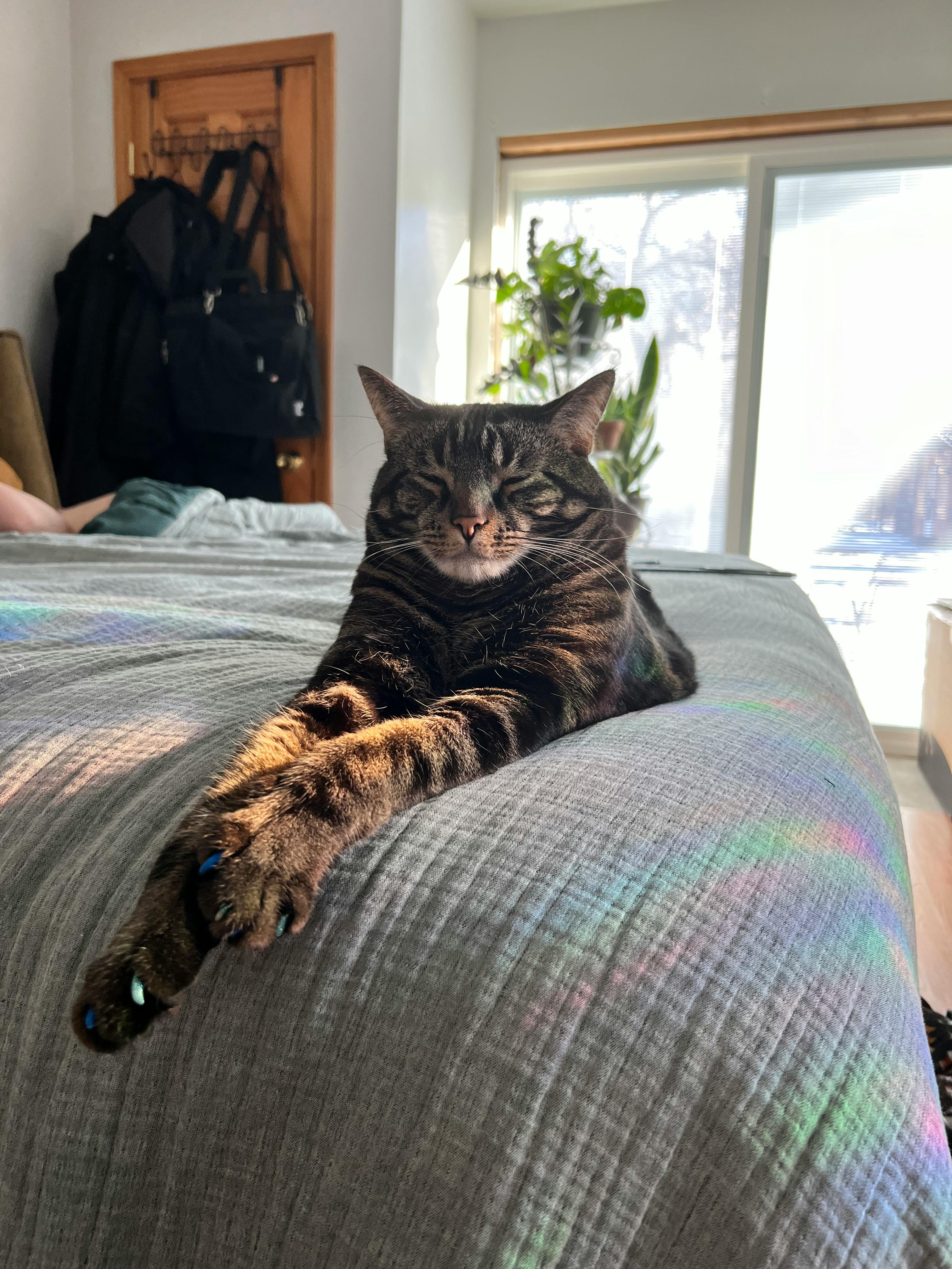 user avatar image for Kristy