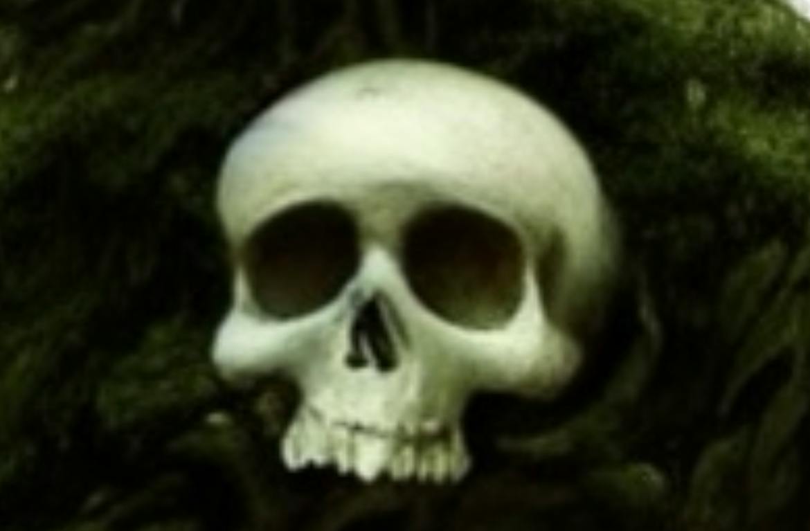 user avatar image for Windup-Shroom