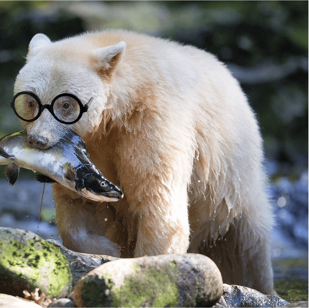 user avatar image for Drew Demmerle