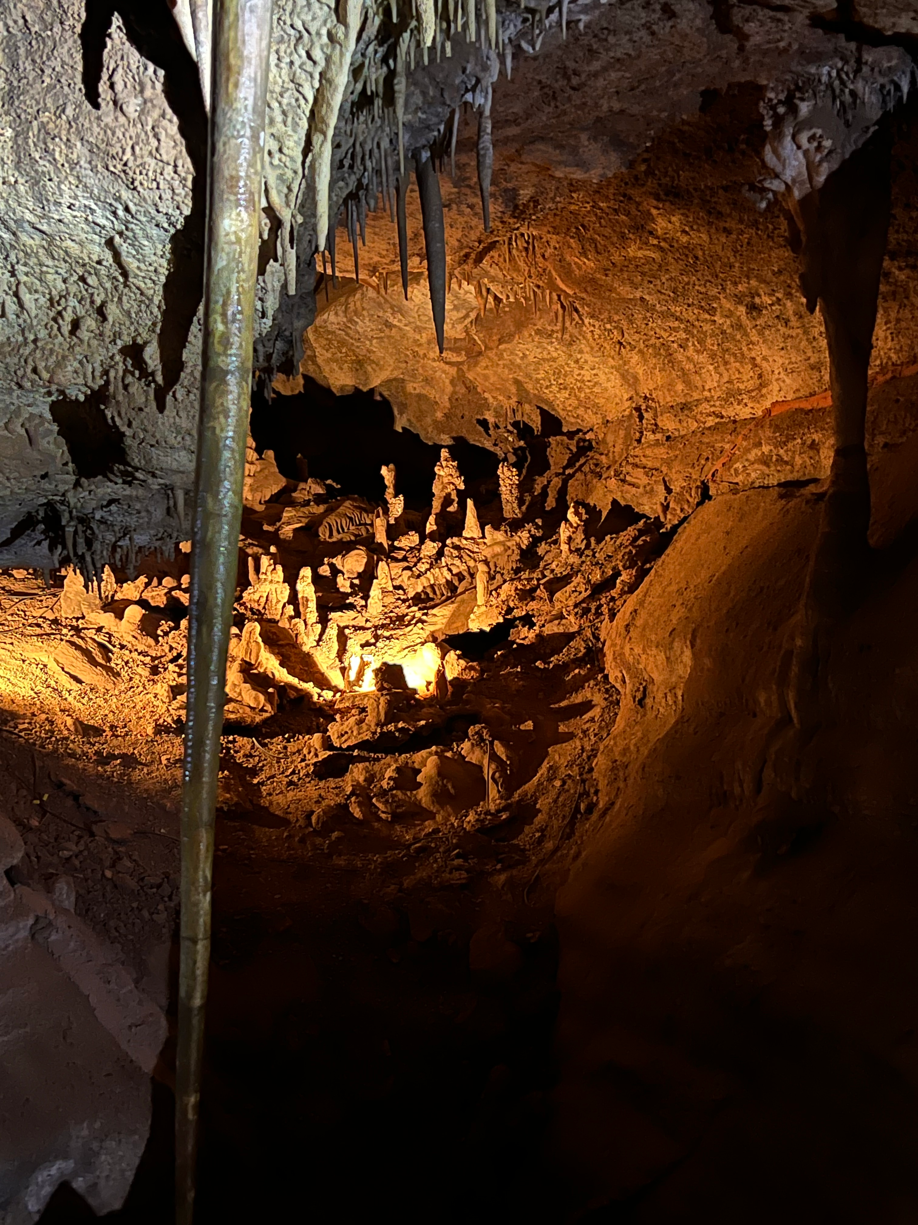 user avatar image for Mark Caverson