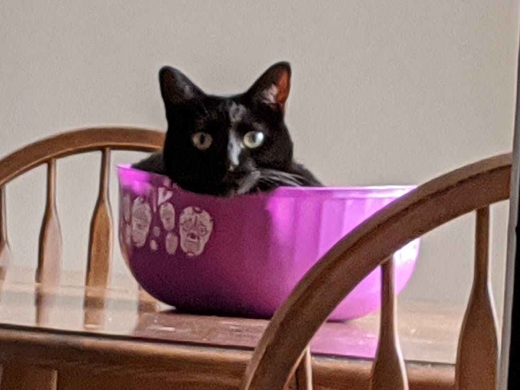 user avatar image for Ryan