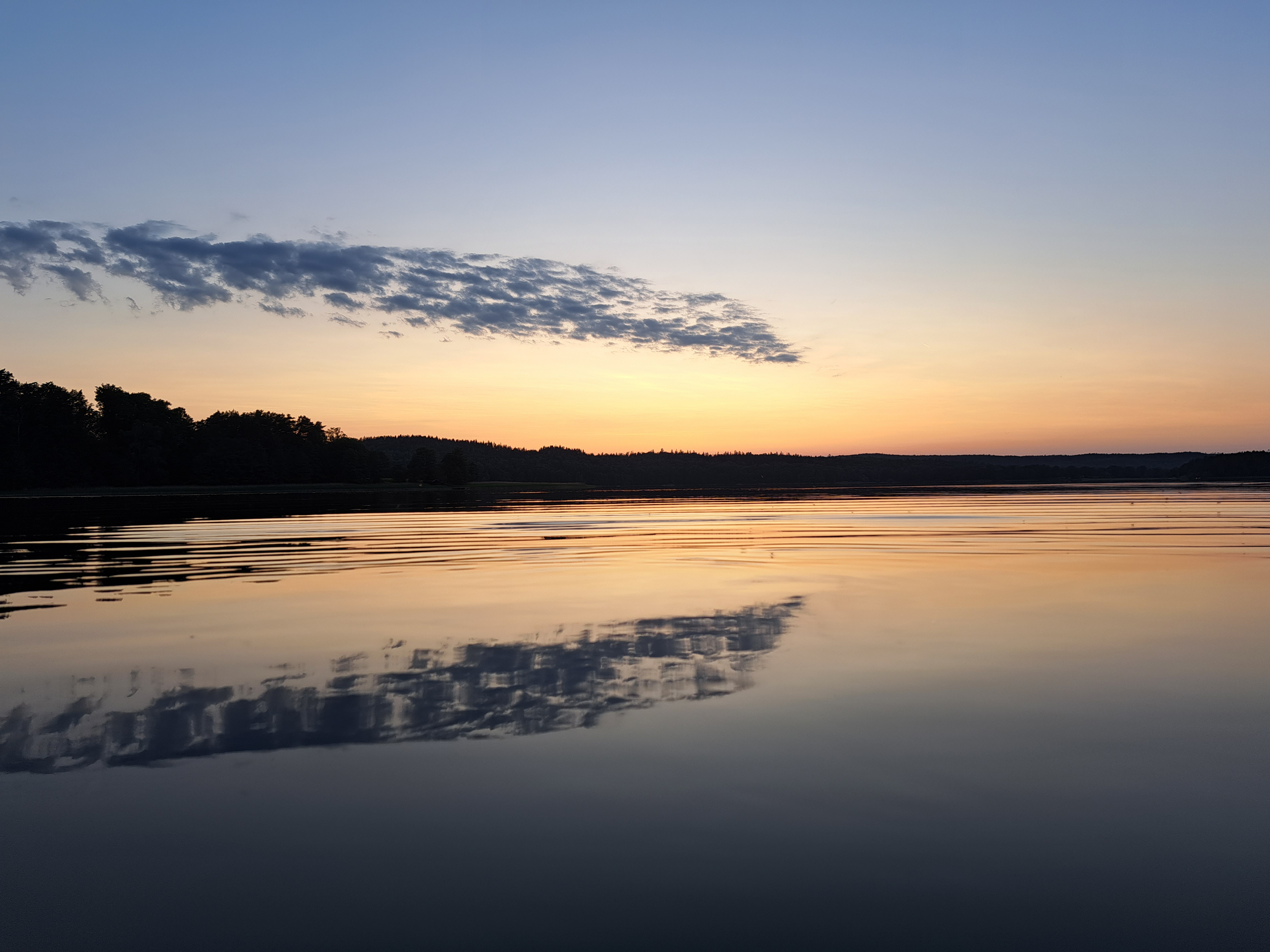 user avatar image for Tamuline