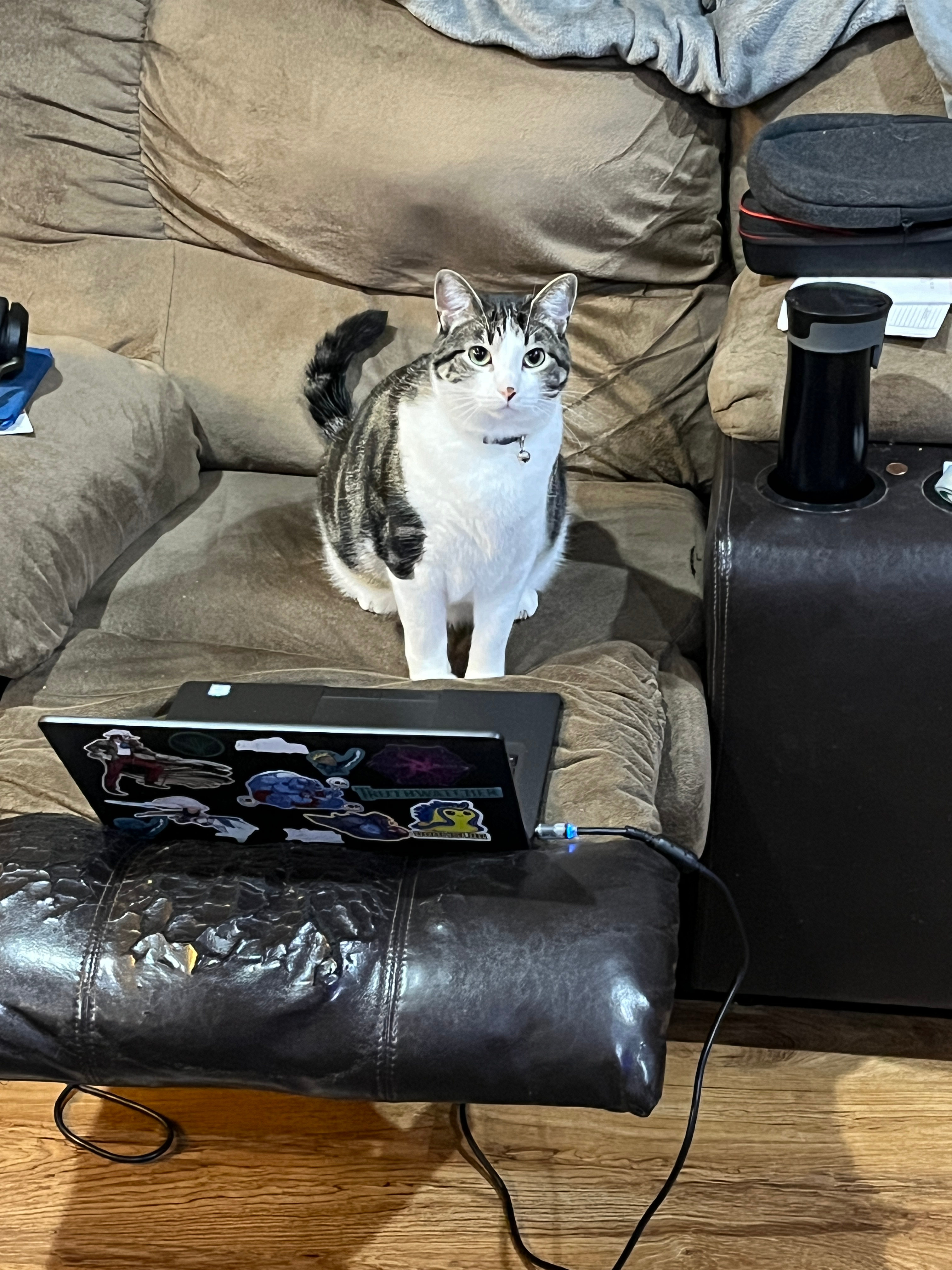 user avatar image for Undead Wookiee