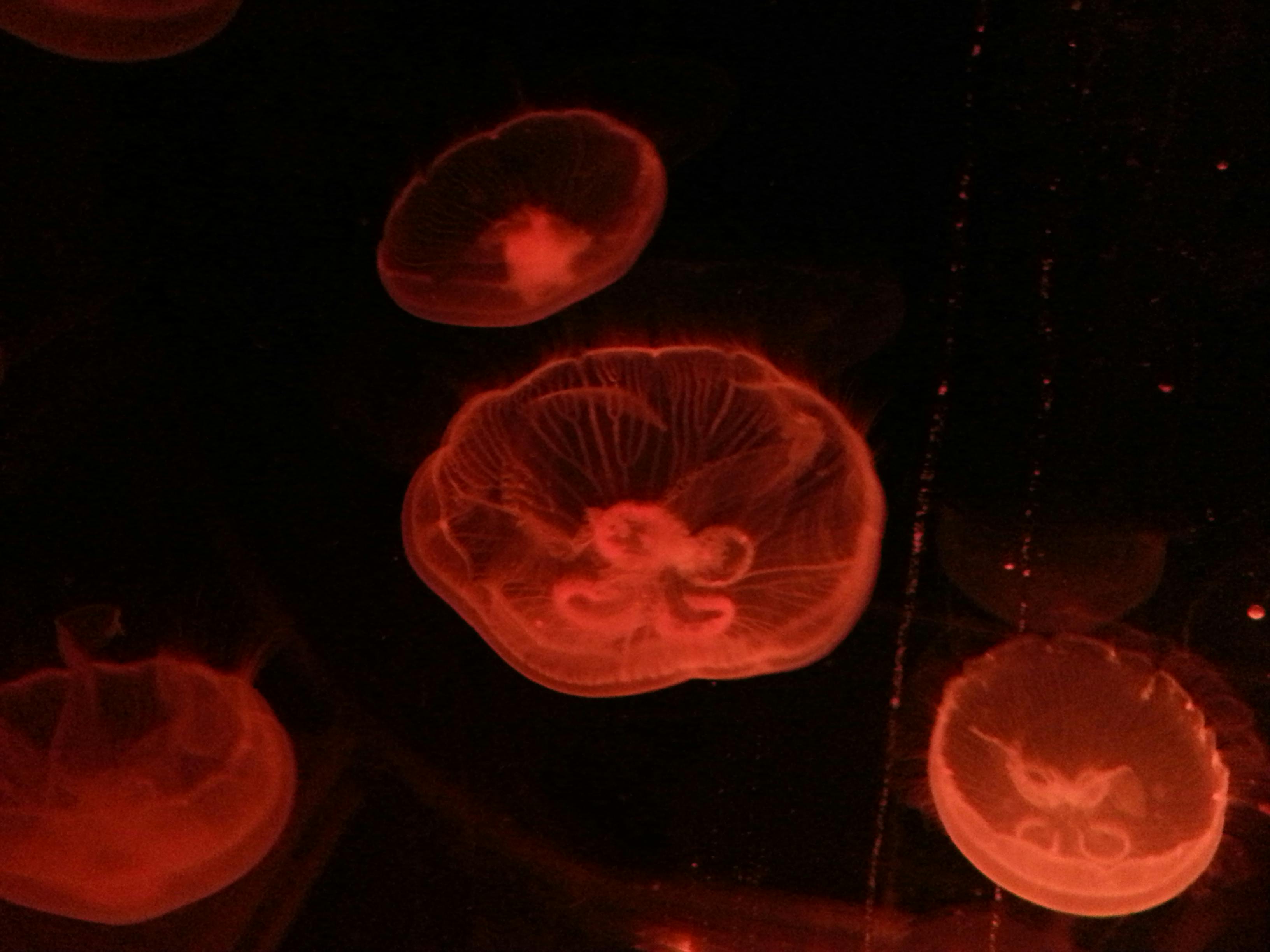 user avatar image for mwaterball