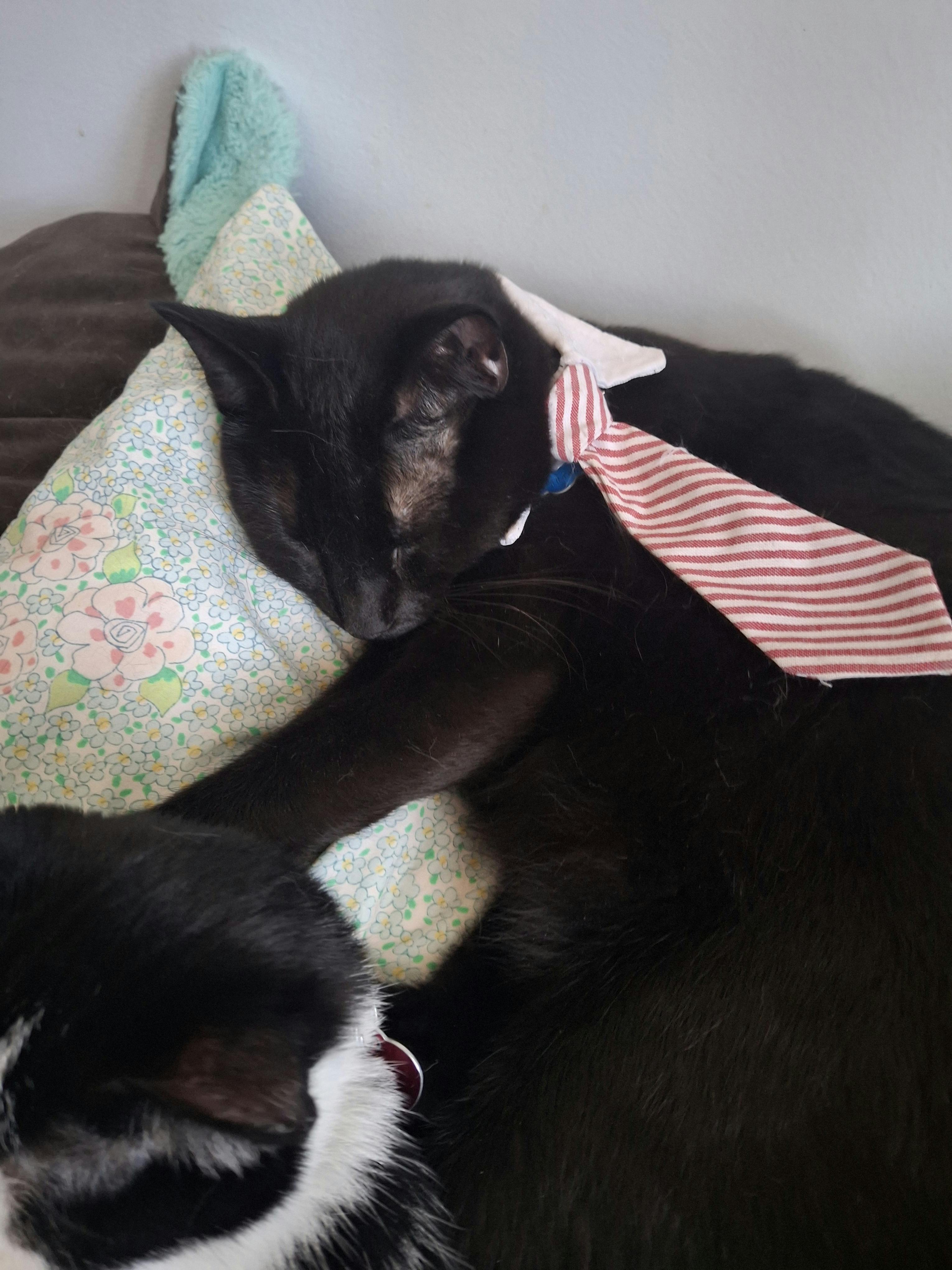 user avatar image for Gillian Griggs 