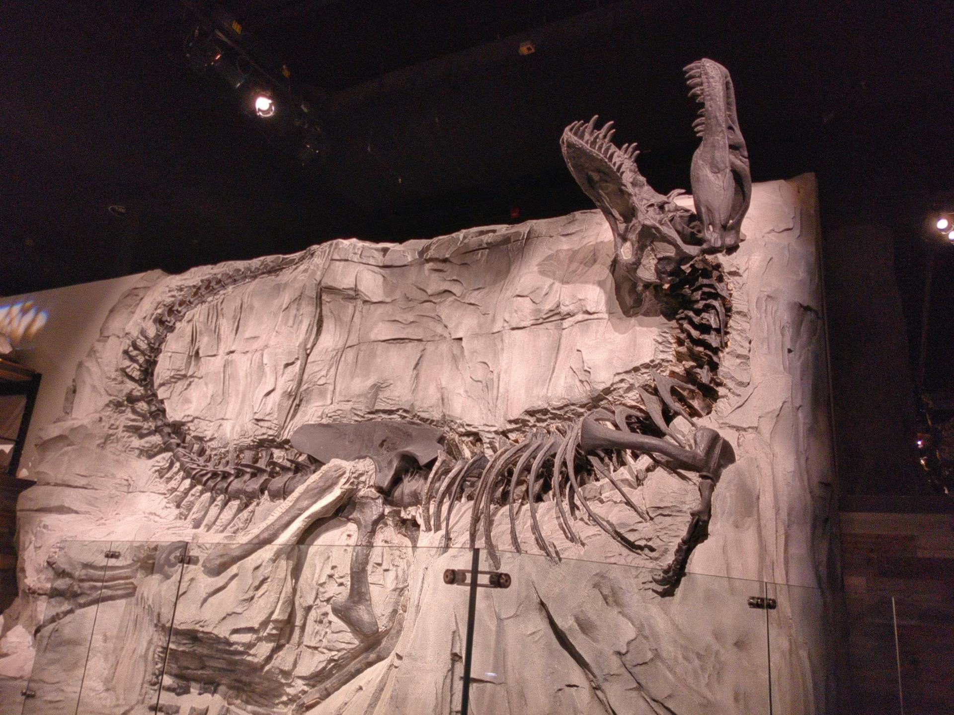 user avatar image for misha