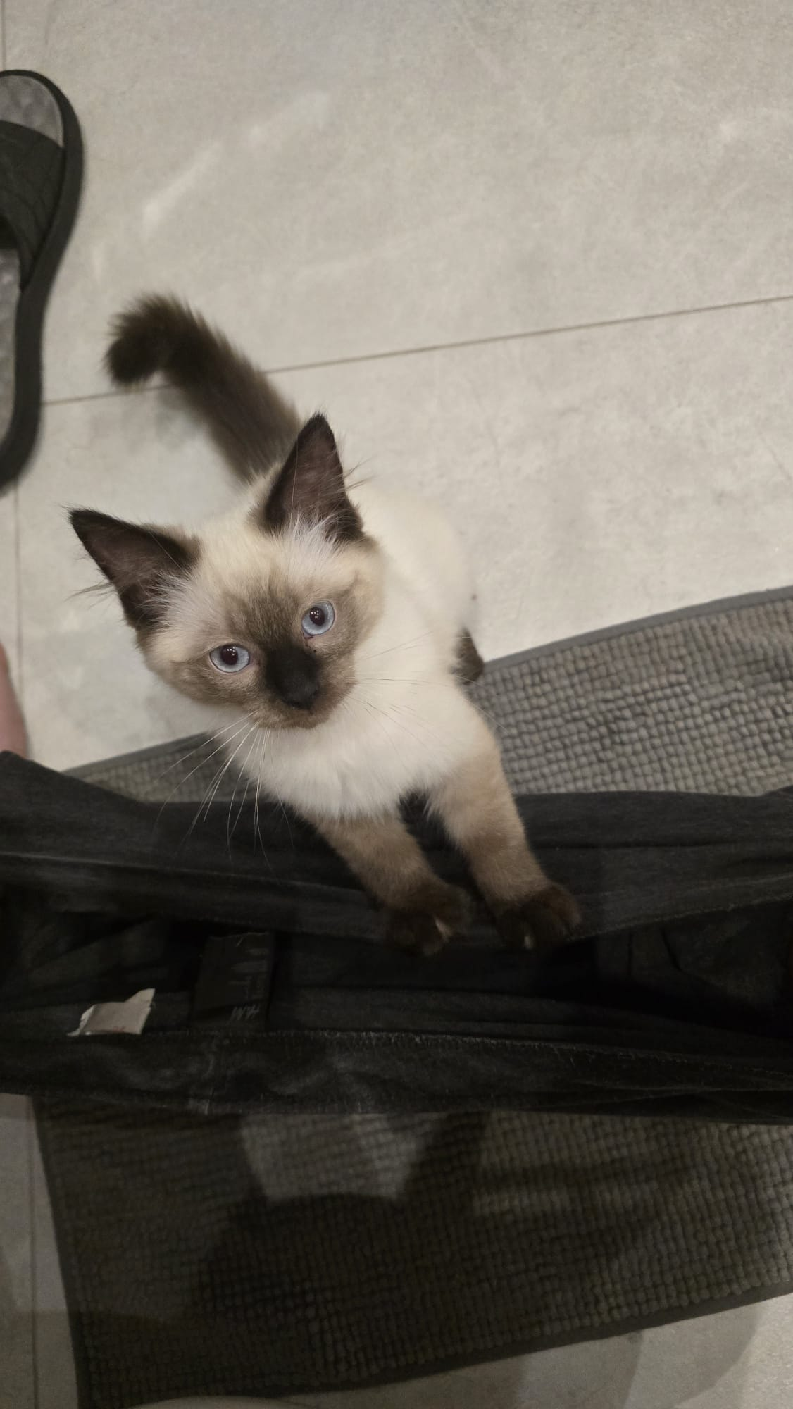 user avatar image for Nabih Asif