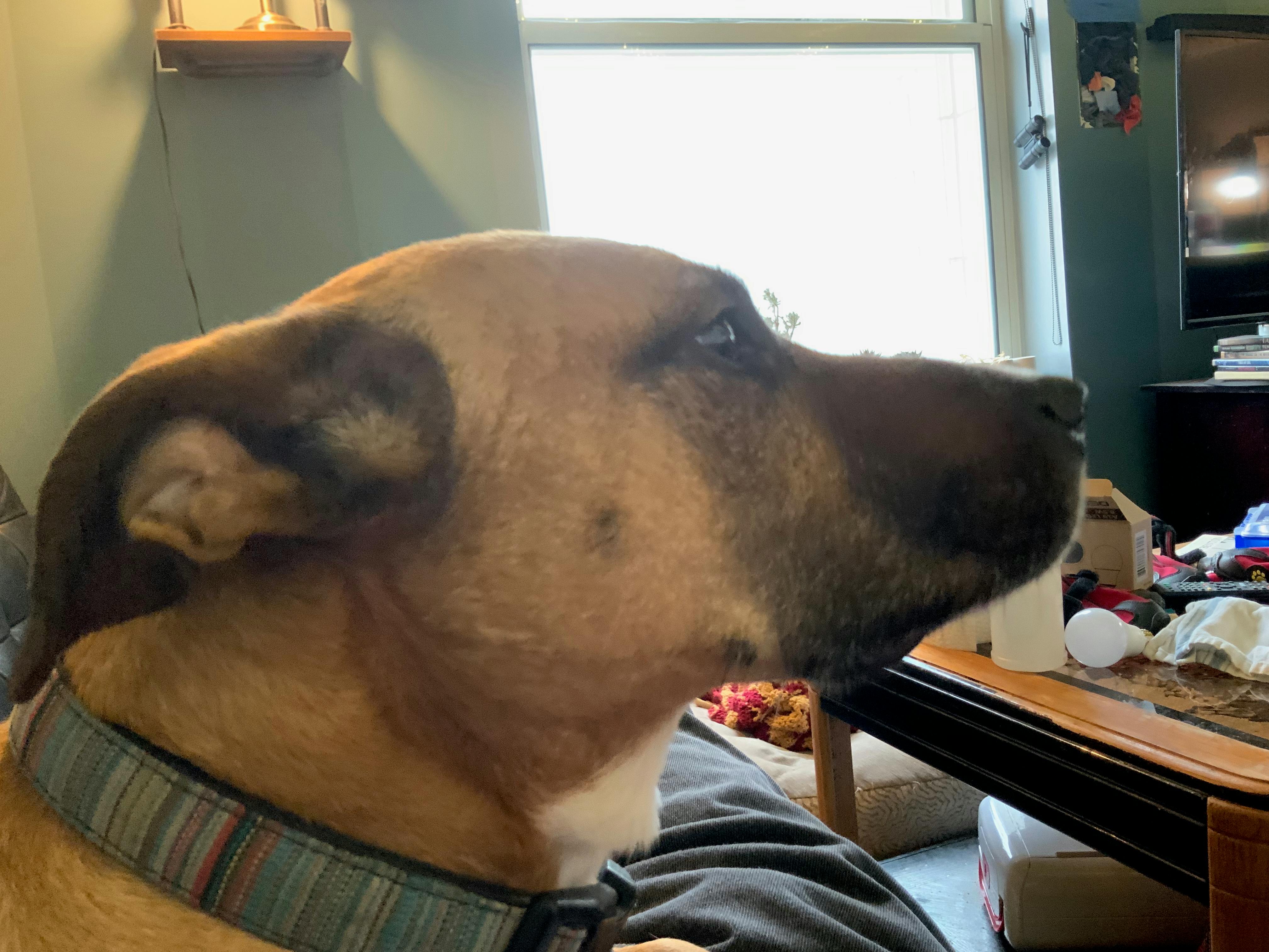 user avatar image for Bob Jaben