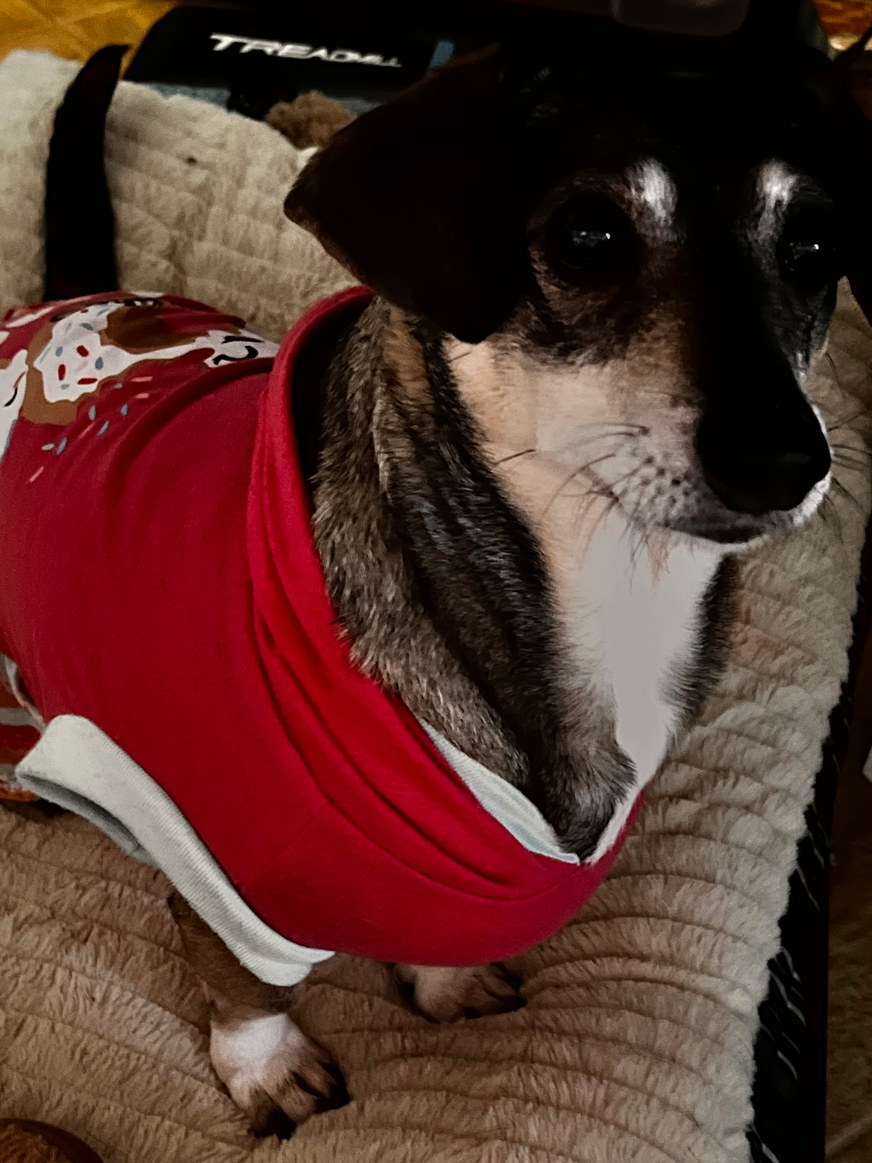 user avatar image for Poohntiggerz