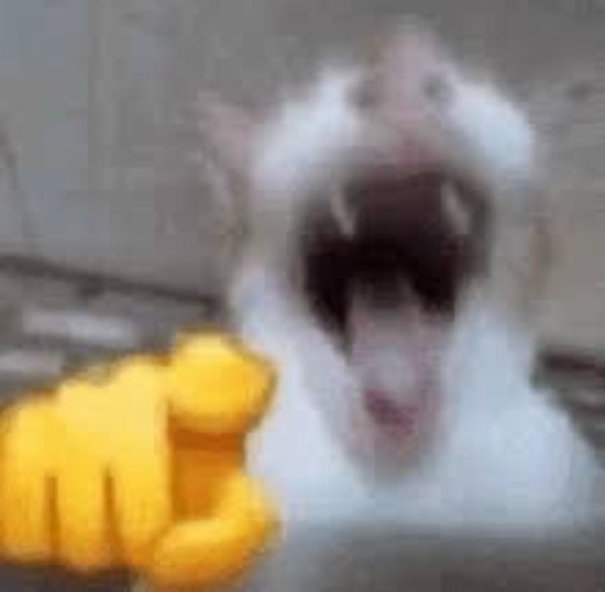 user avatar image for ☆gay☆