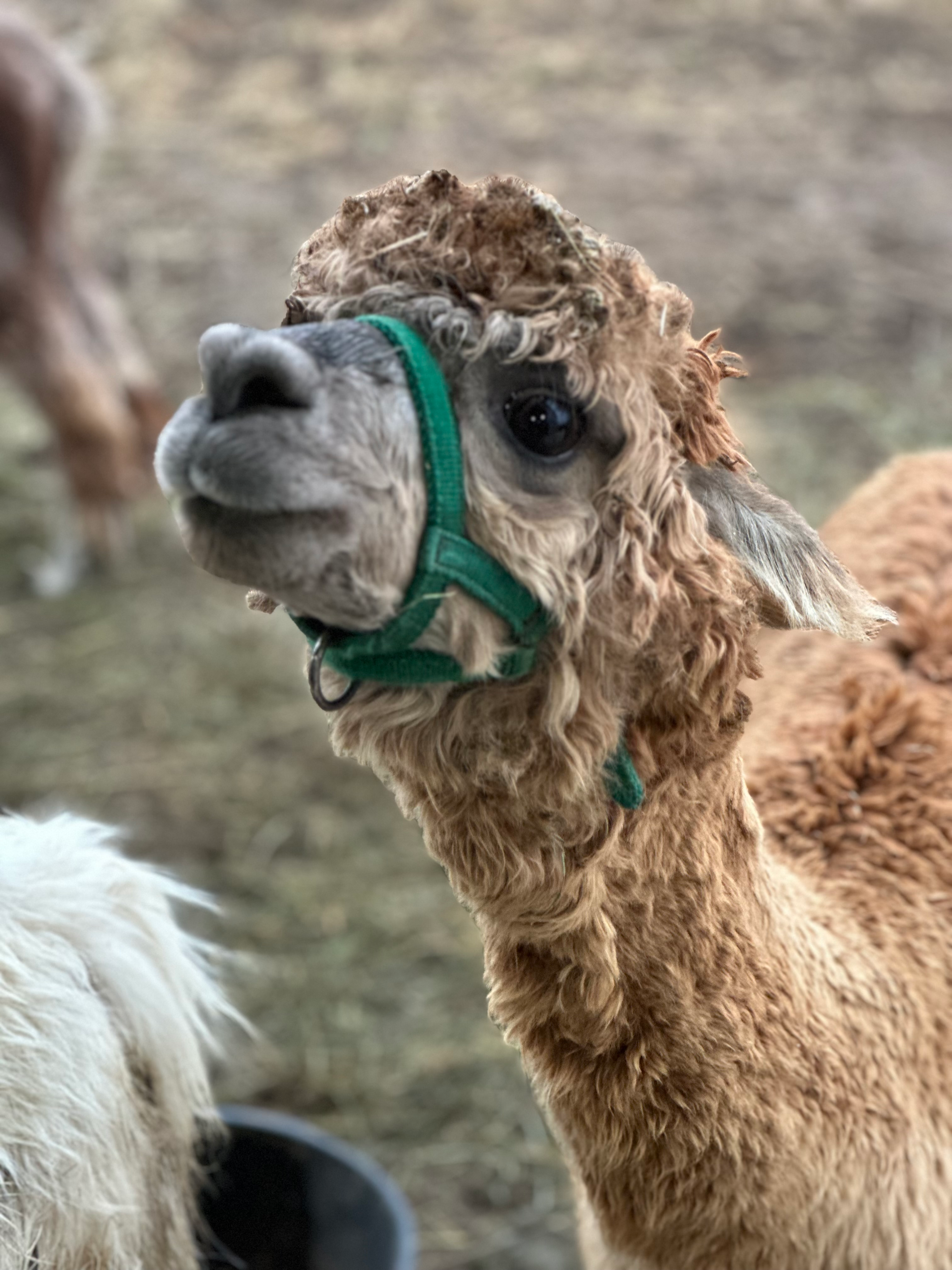 user avatar image for Ben Banta