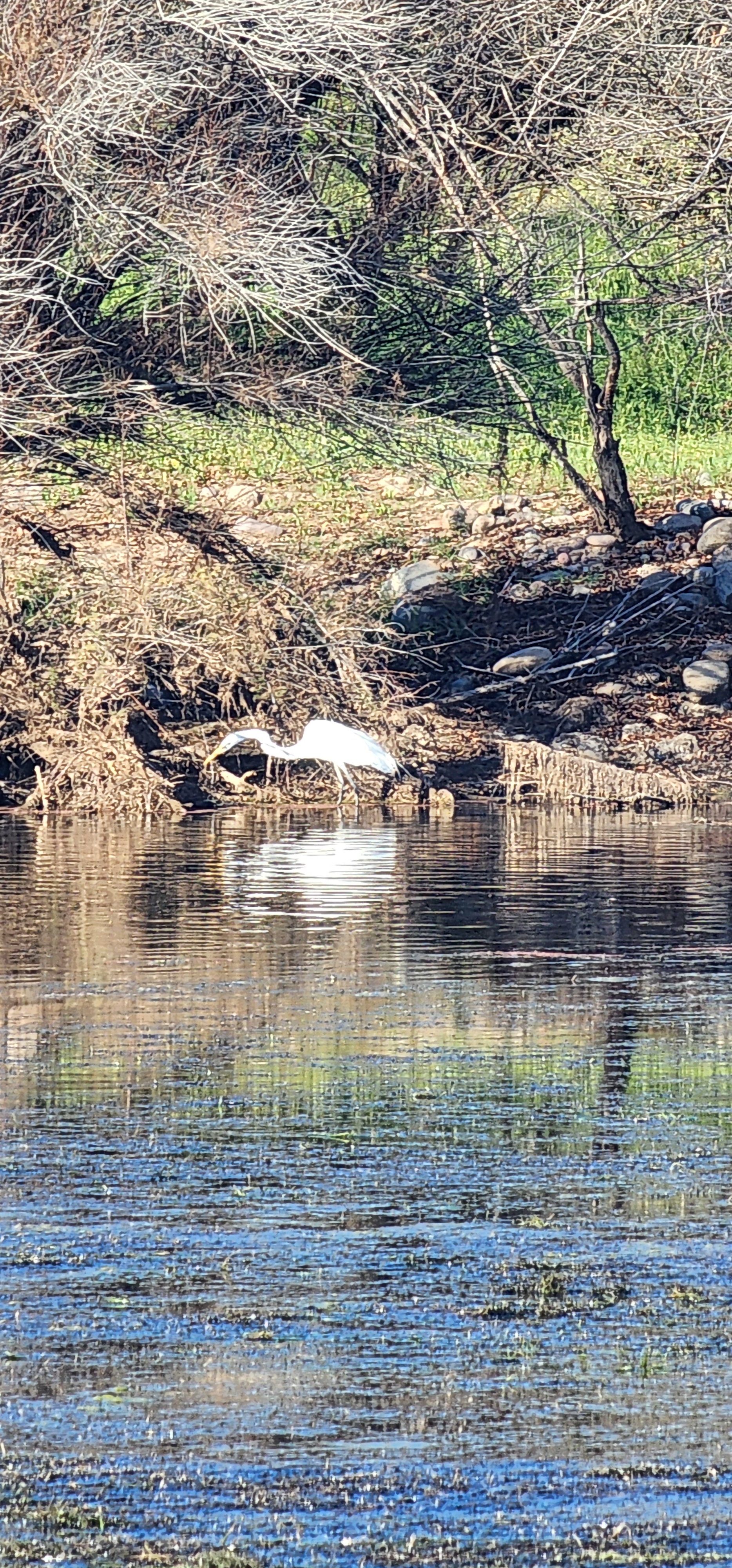 user avatar image for Alexander