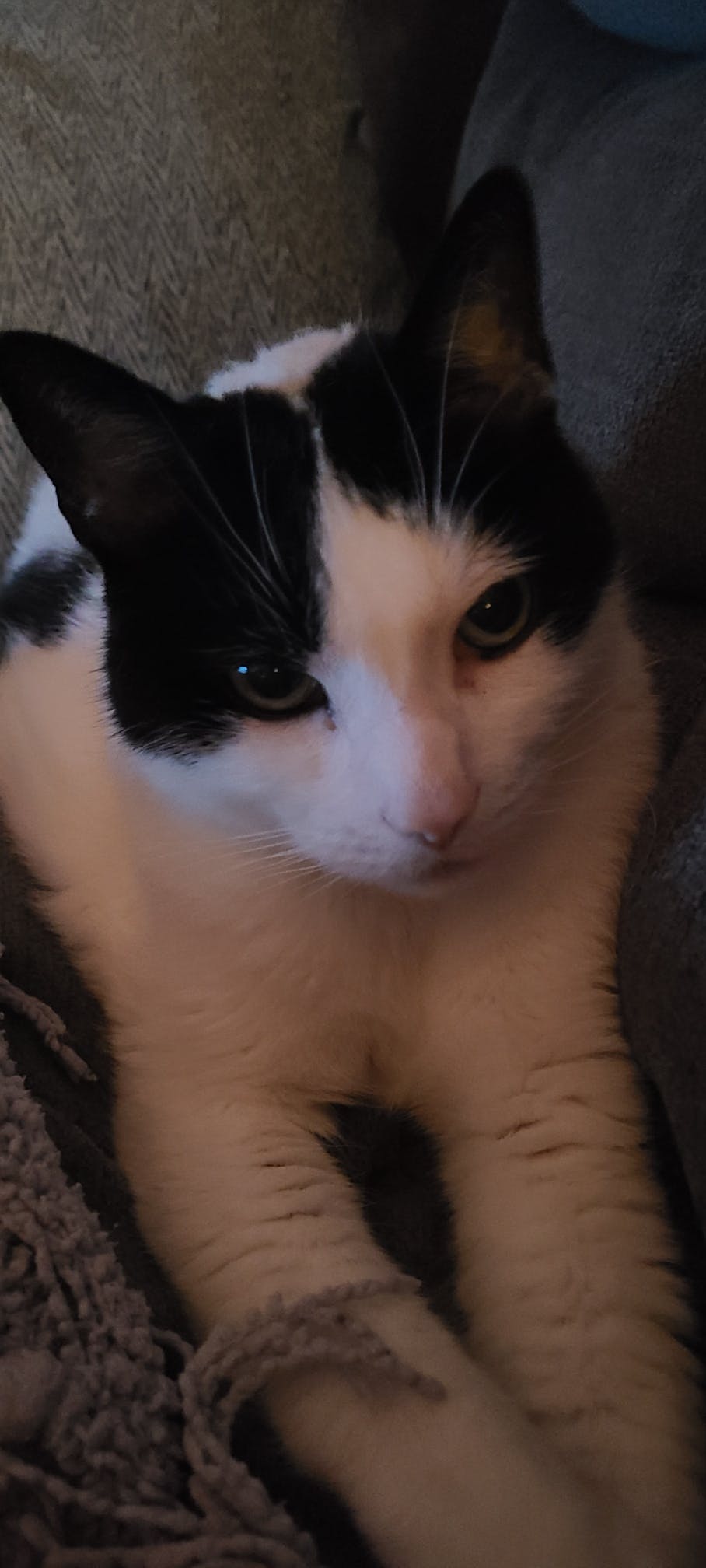 user avatar image for DNA_Dan0