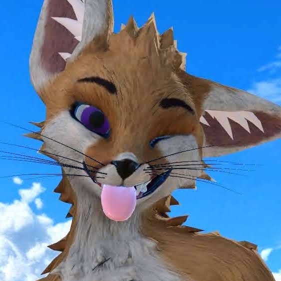 user avatar image for Niko Fox