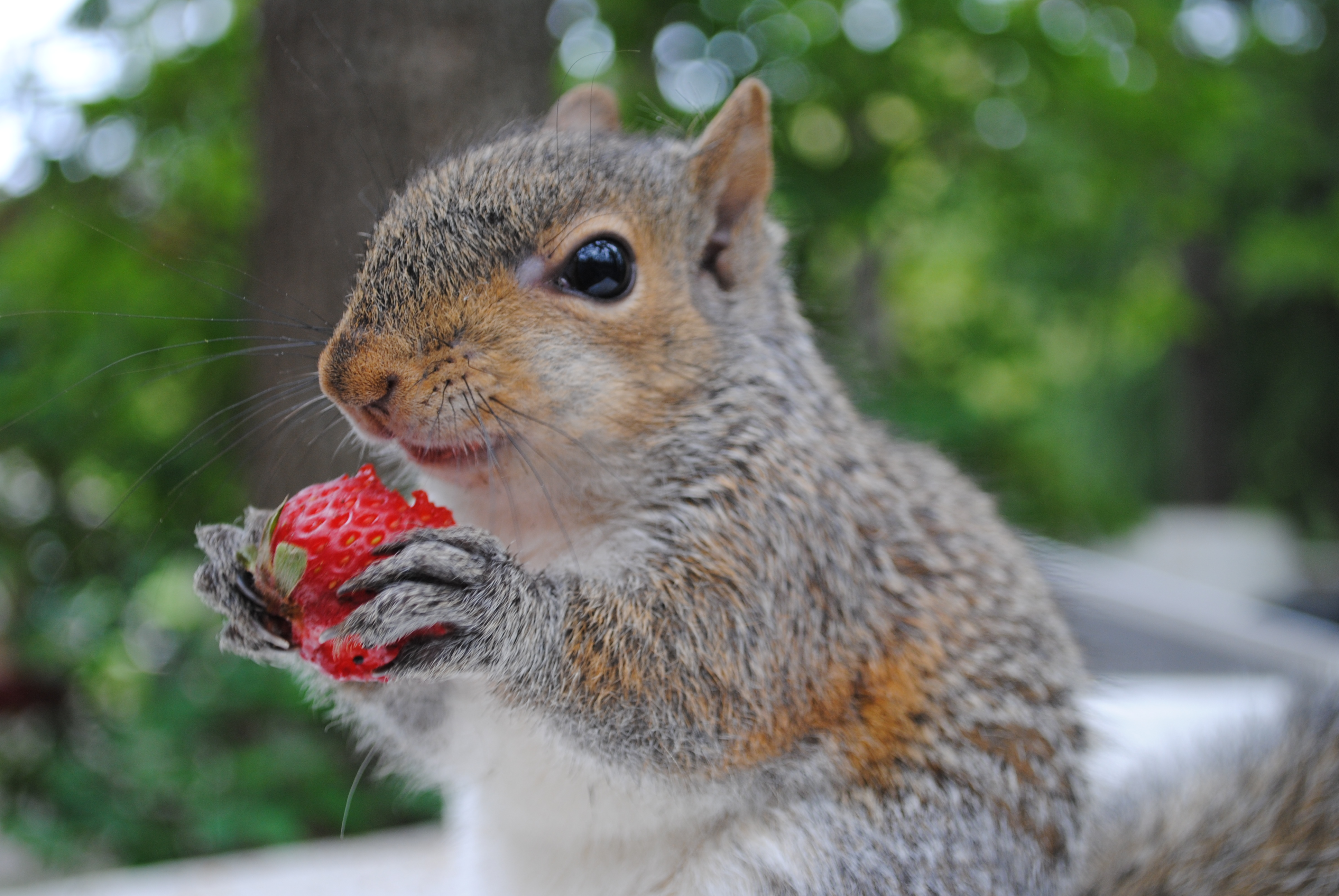 user avatar image for Brittany