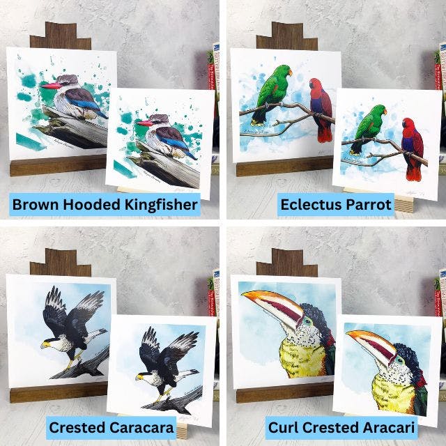 a grid of four coasters created from illustrations by Loadofolbobbins. Clockwise from top left they show a brown hooded kingfisher, eclectus parrots, curl crested aracari and a crested caracara