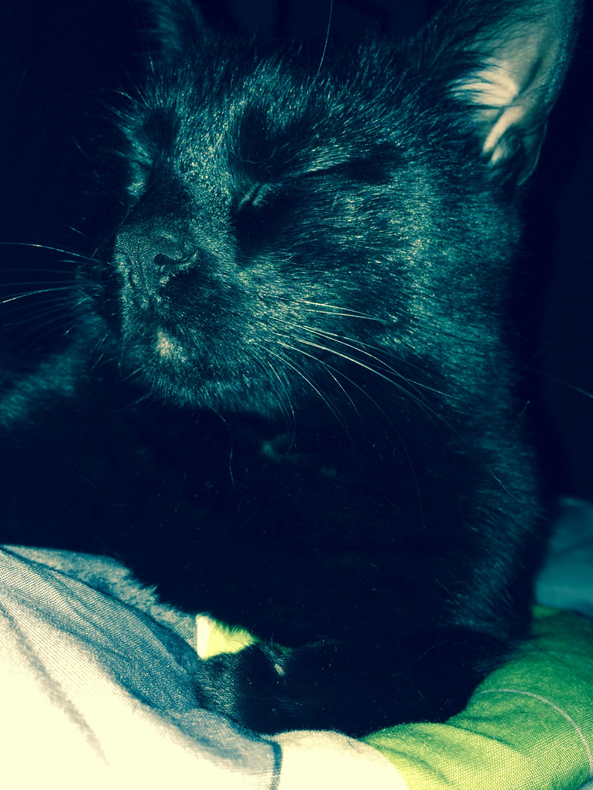 user avatar image for Amy A