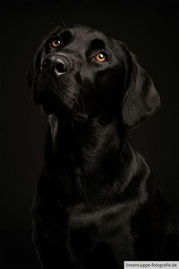 user avatar image for Joslyn 