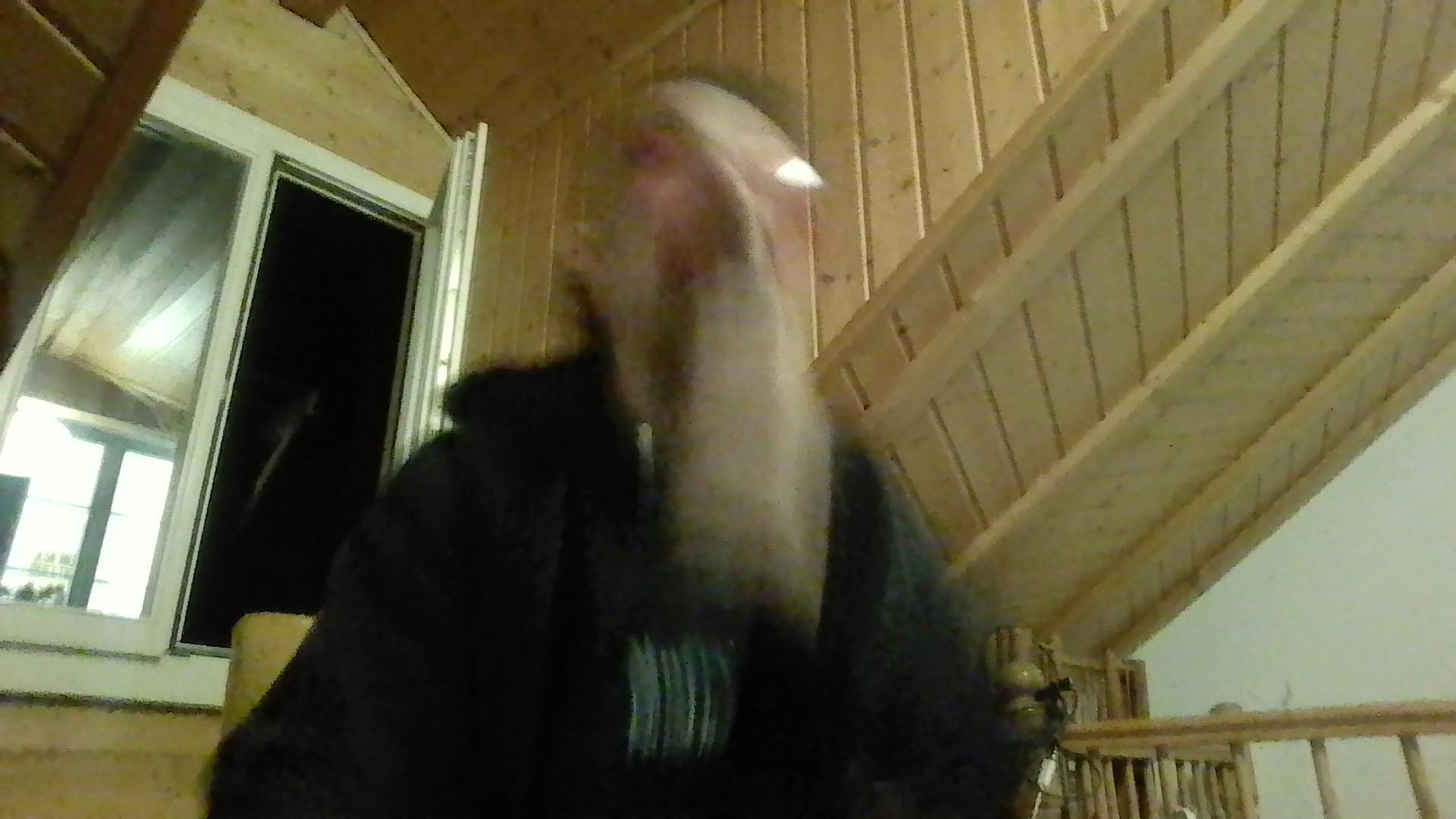 user avatar image for quaucoche