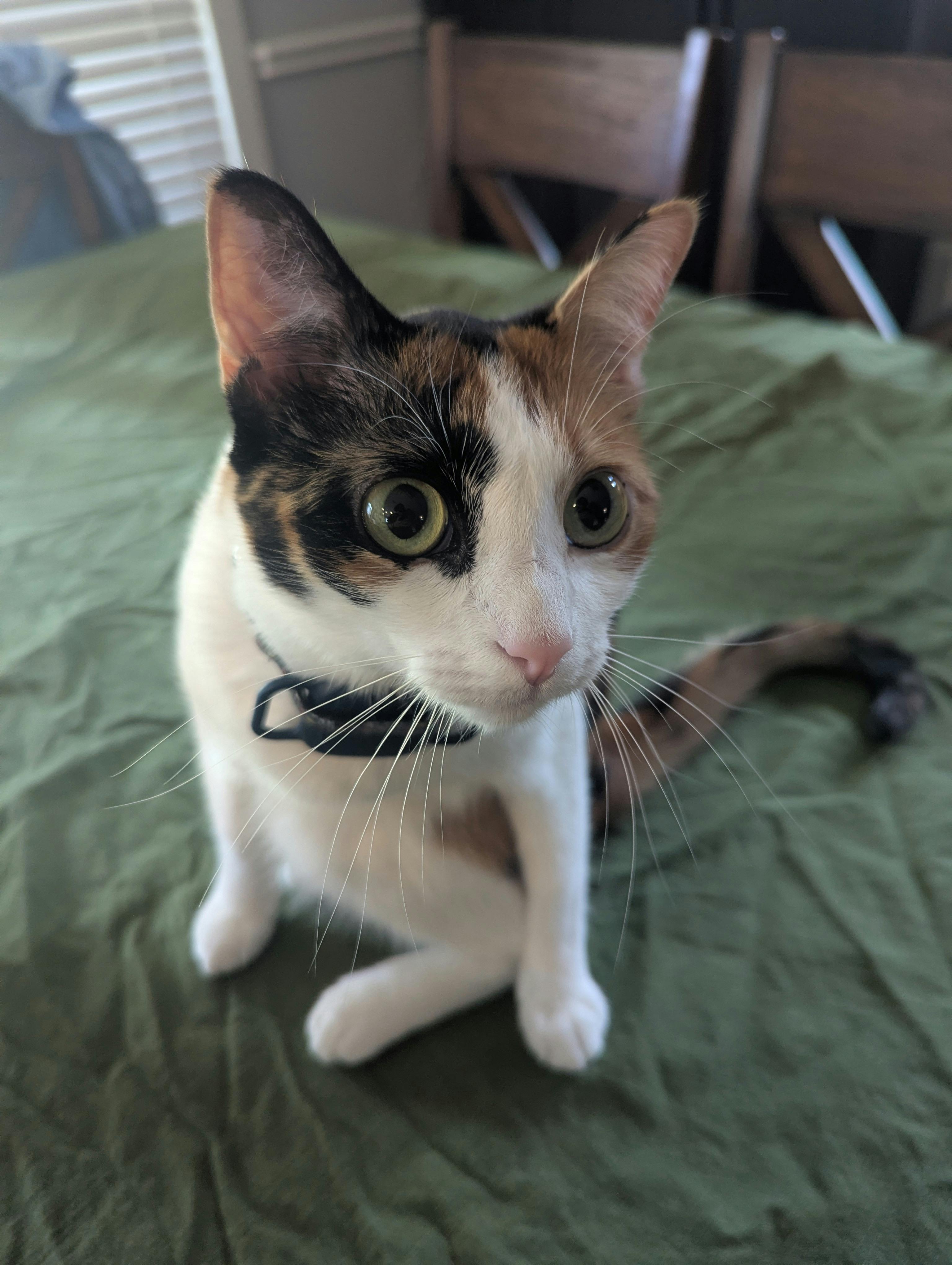 user avatar image for #1 molly fan 