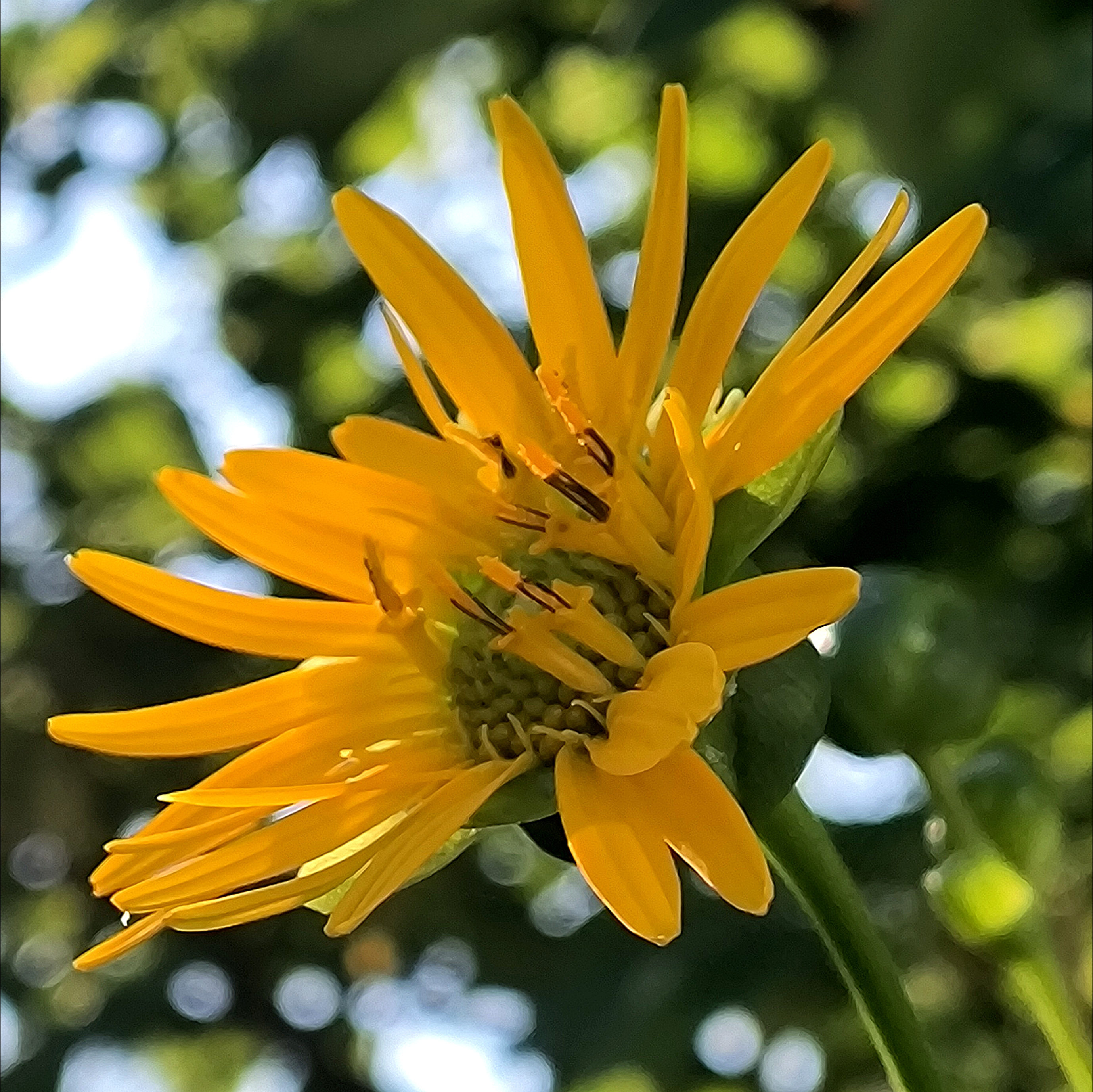 user avatar image for Tim Weitzel 