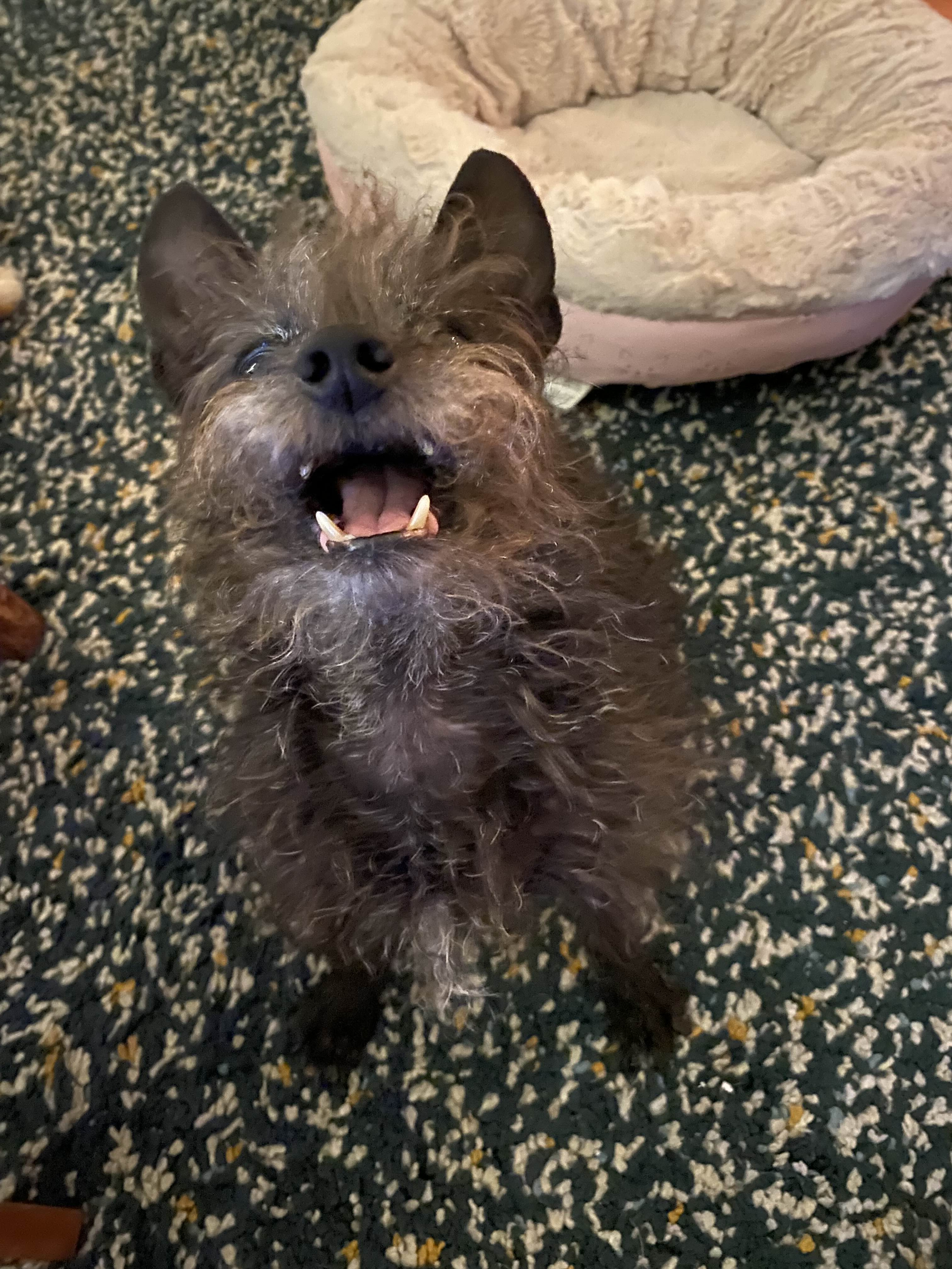 user avatar image for Marco Beltran