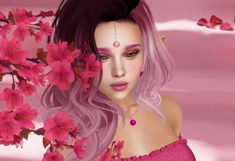 user avatar image for KariB