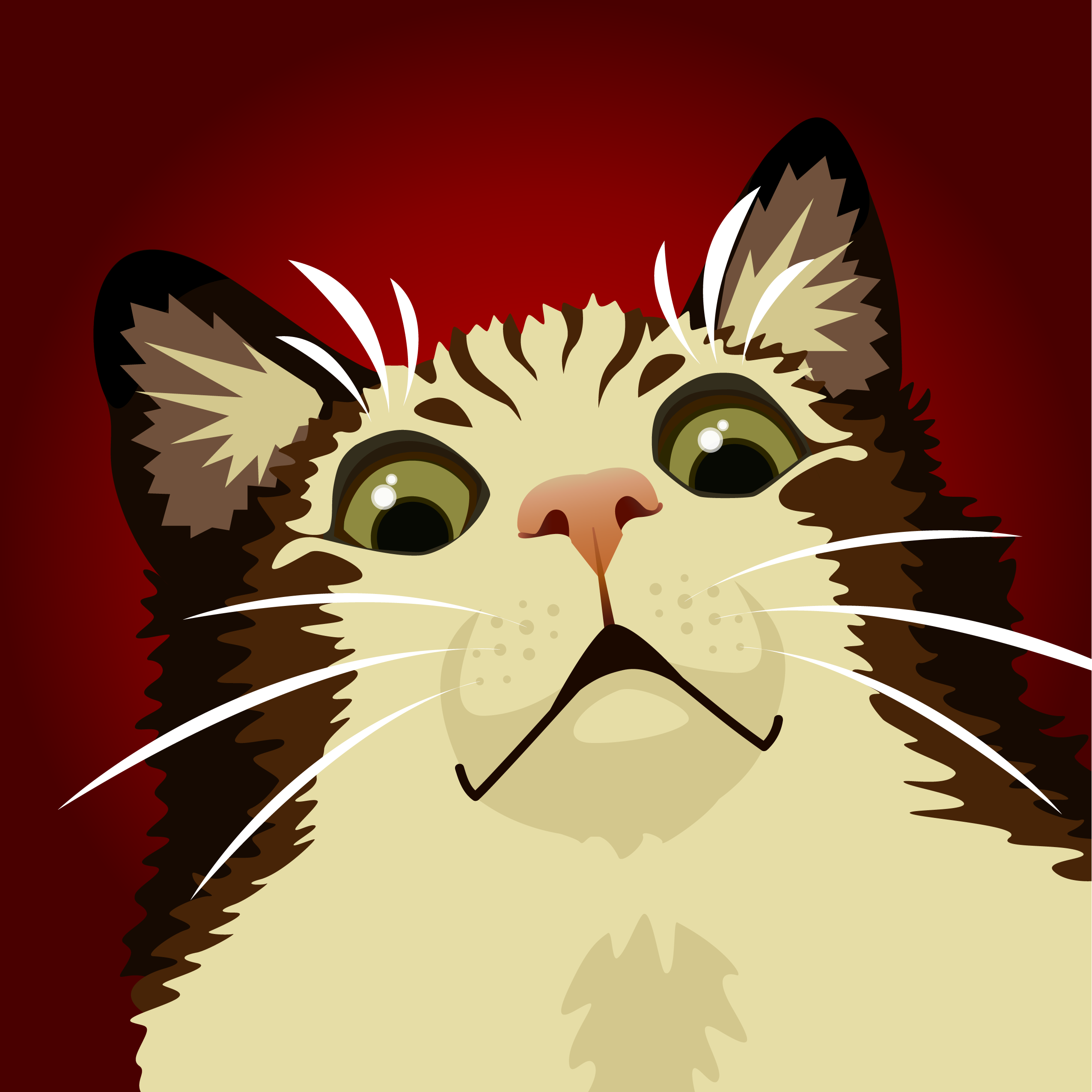 user avatar image for Nocturnika