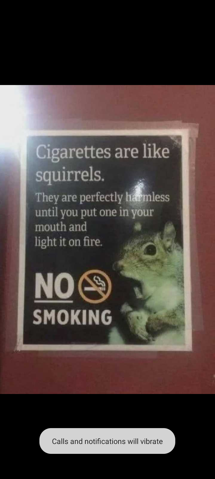 user avatar image for Zkuehn15