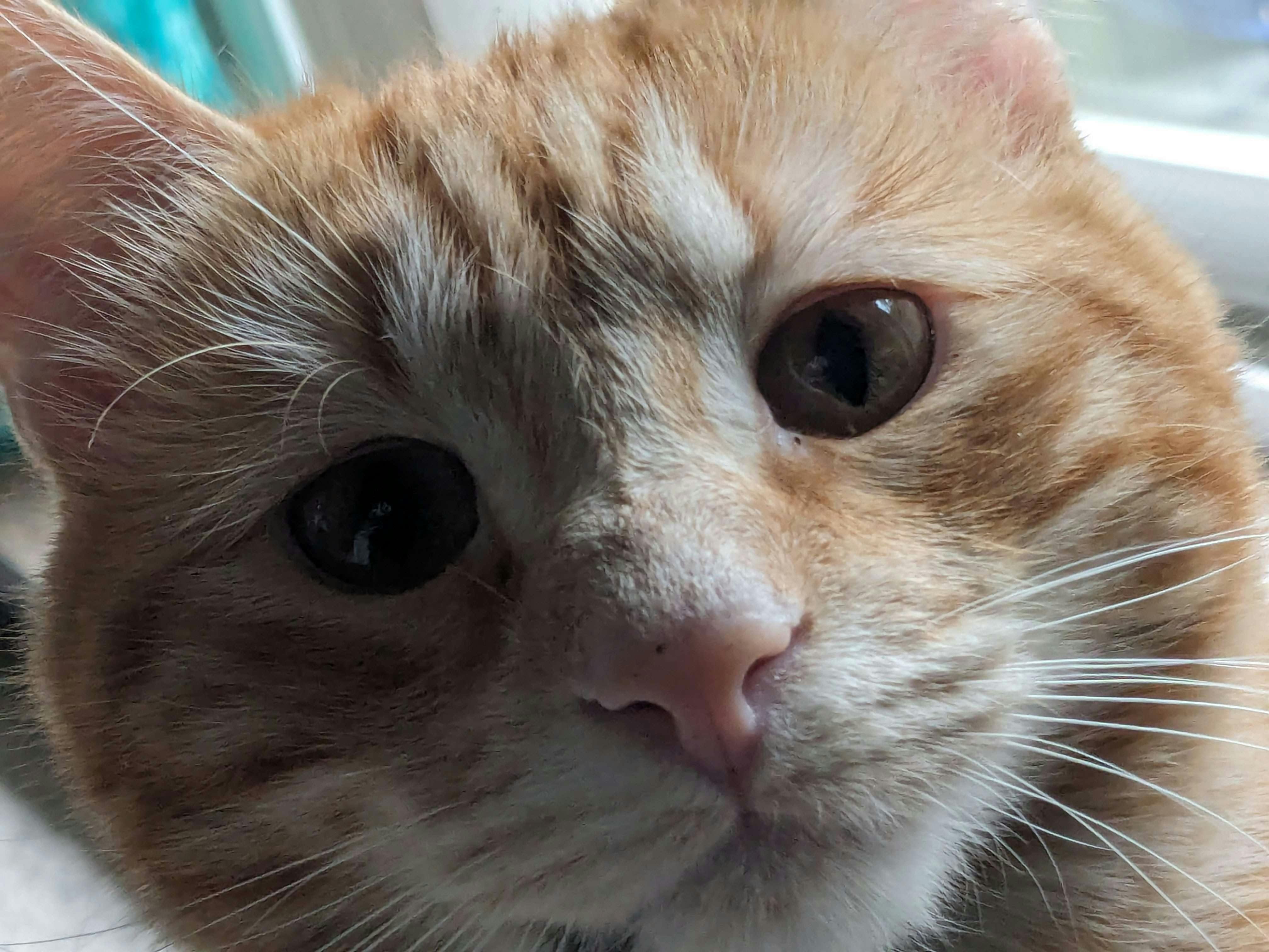 user avatar image for Em