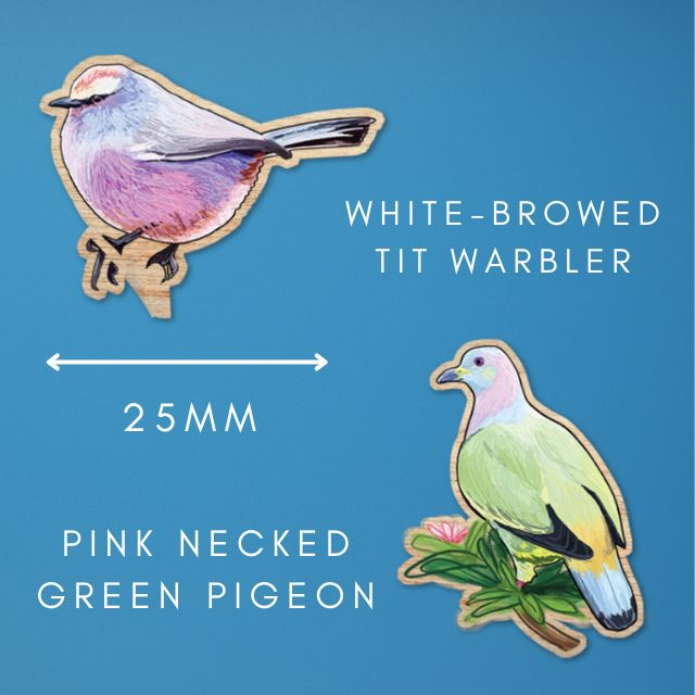 25mm mini wooden pin mock ups made of illustrations of a white-browed tit warbler and a pink-necked green pigeon