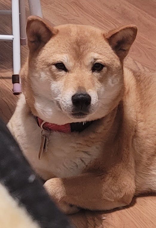 user avatar image for Alisha