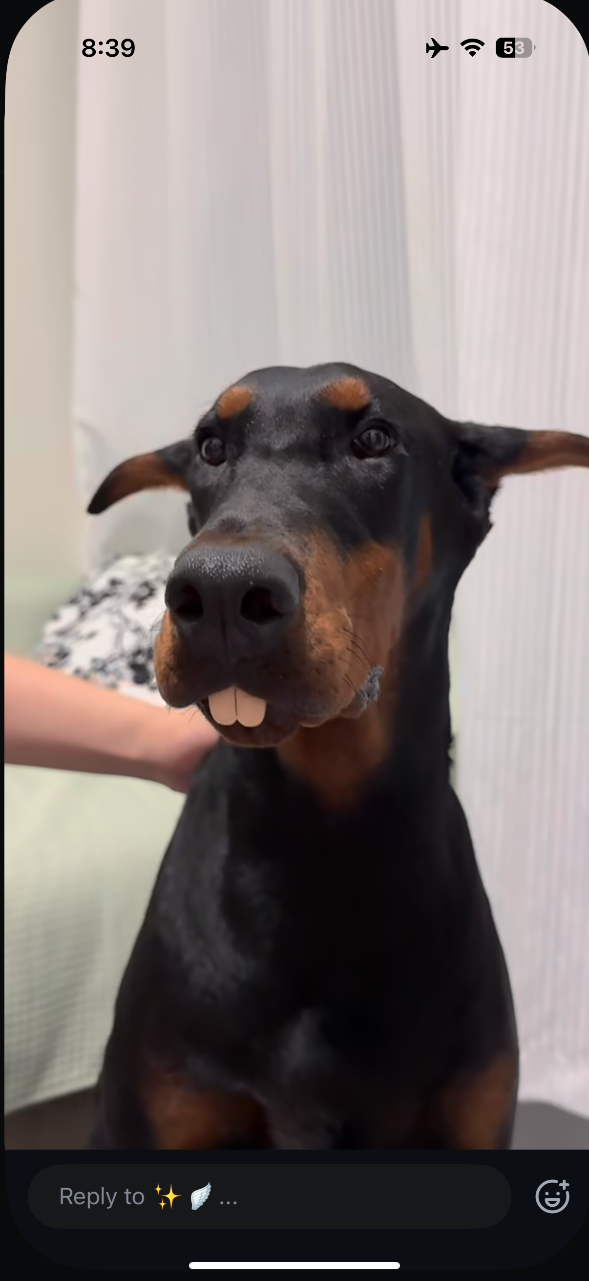 user avatar image for Irv