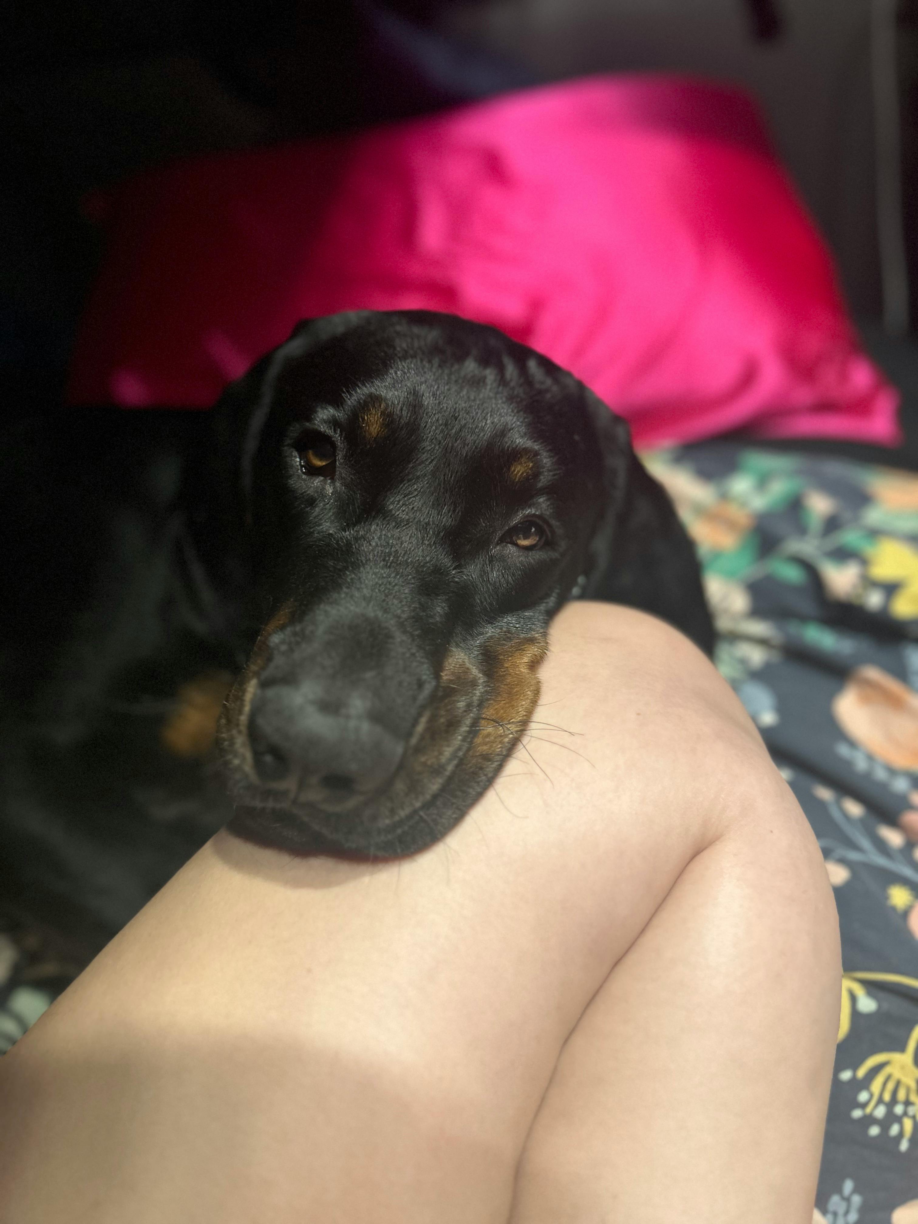 user avatar image for Shelby