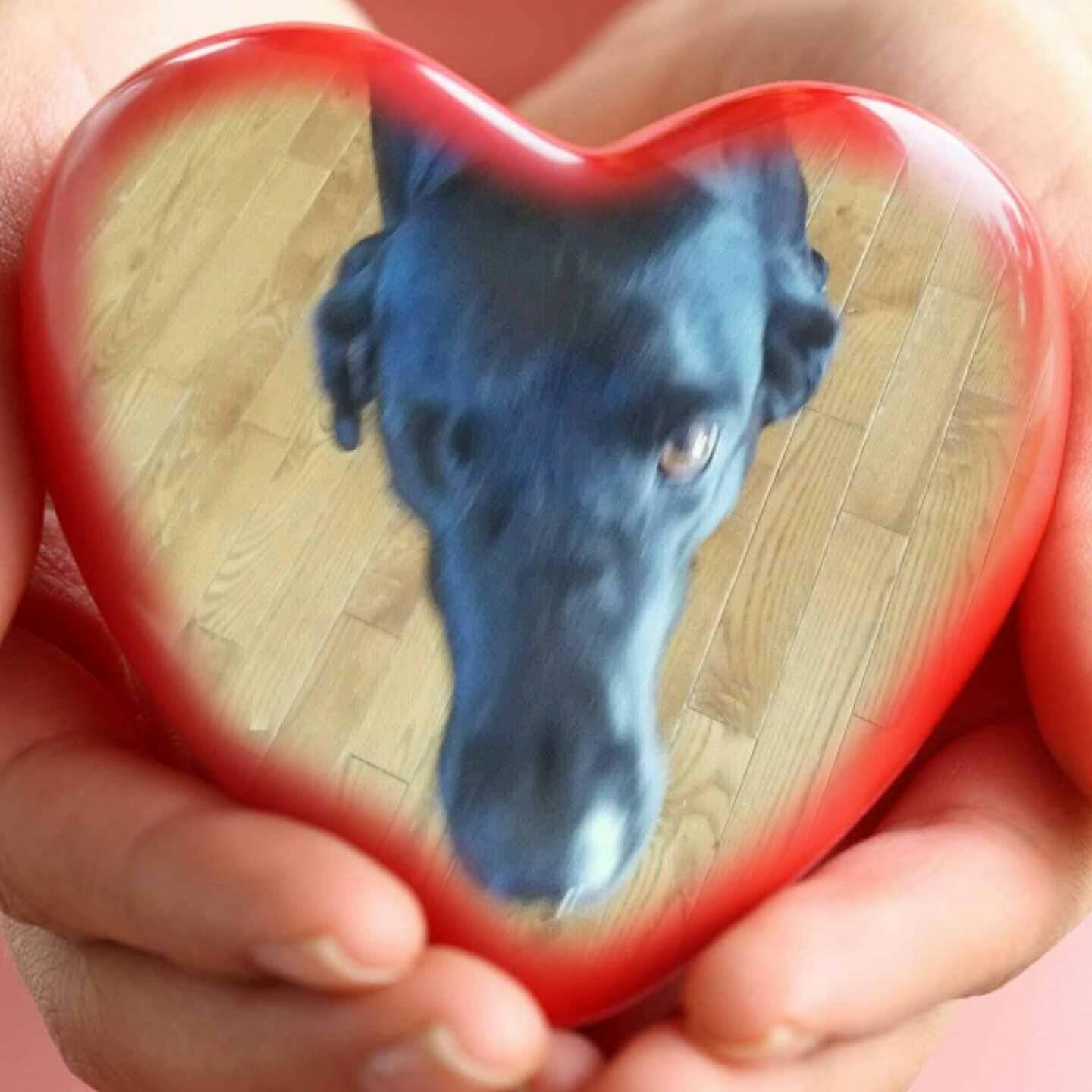 user avatar image for MrWithrow