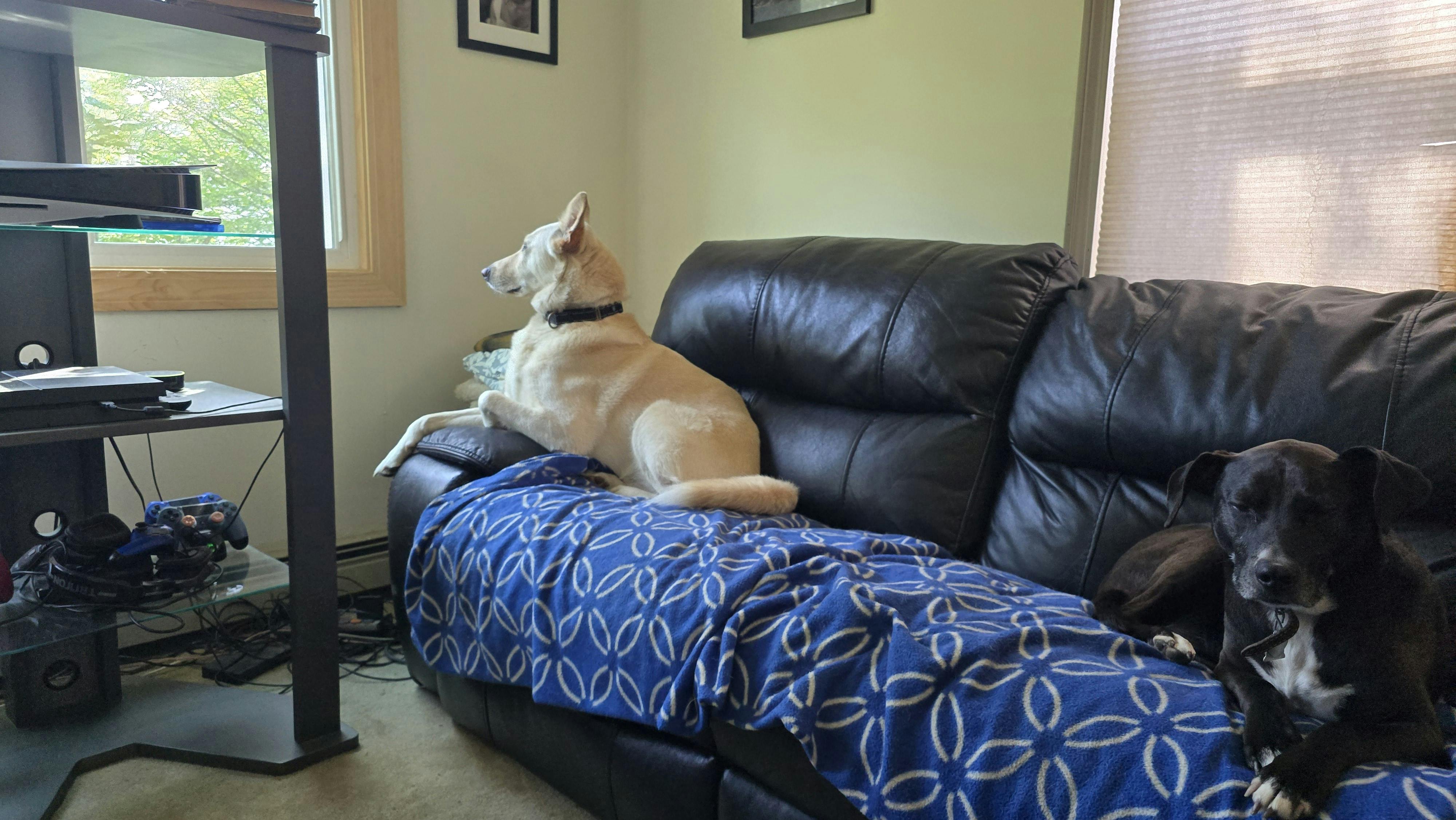 user avatar image for Adam Bryant