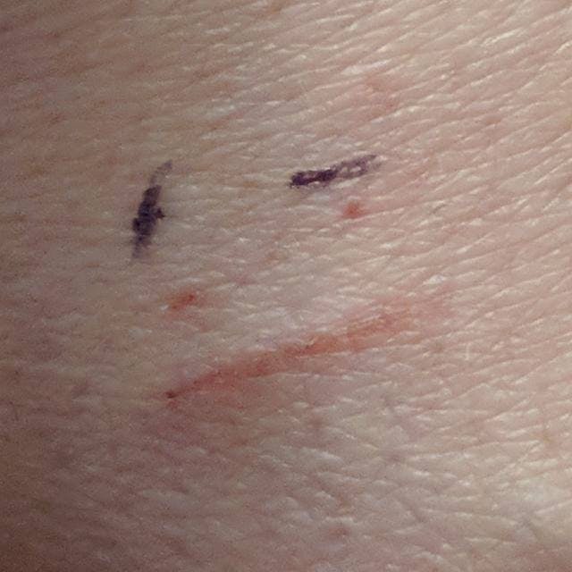 user avatar image for Logiejames